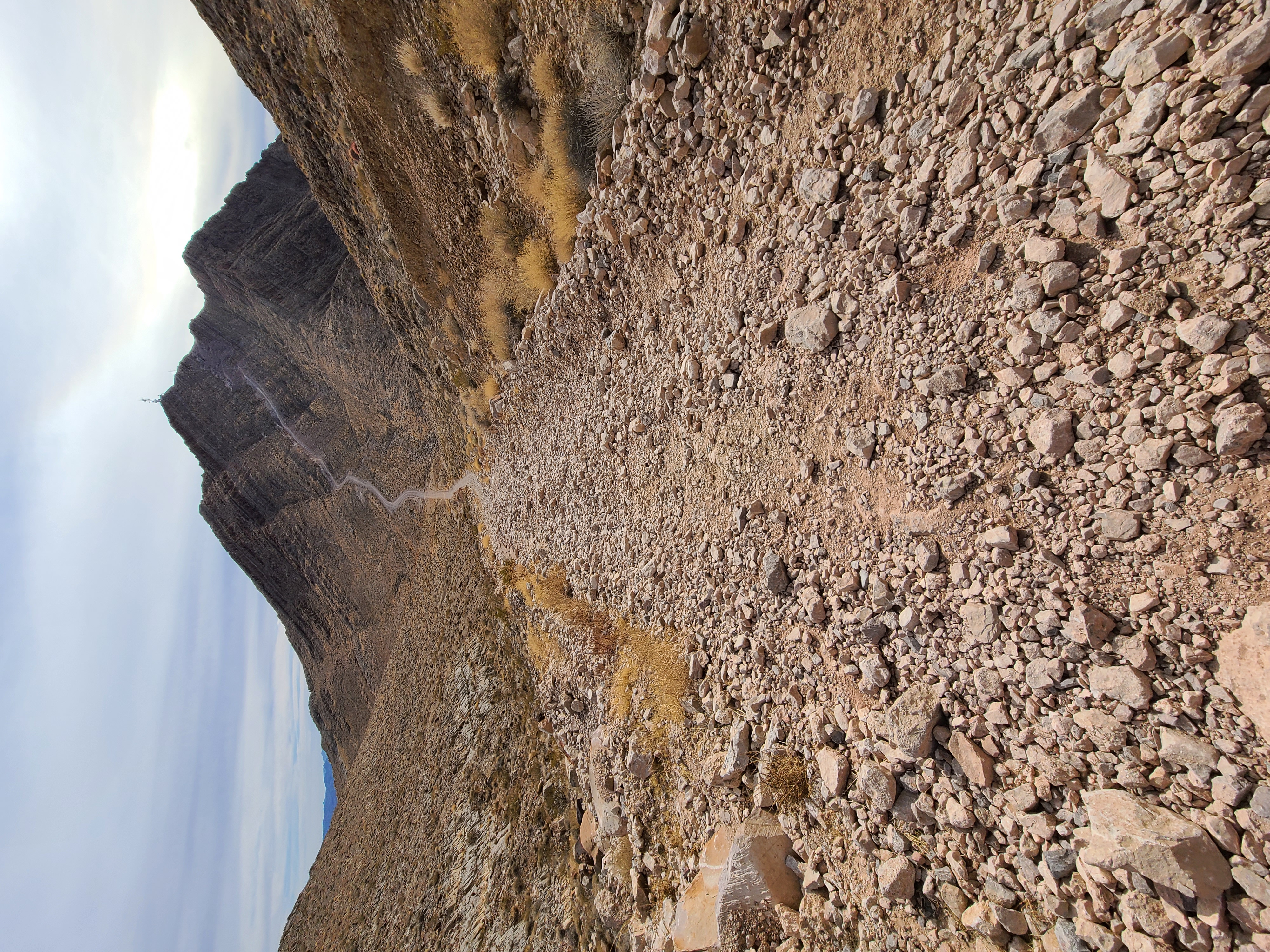 Frenchman Mountain Trail