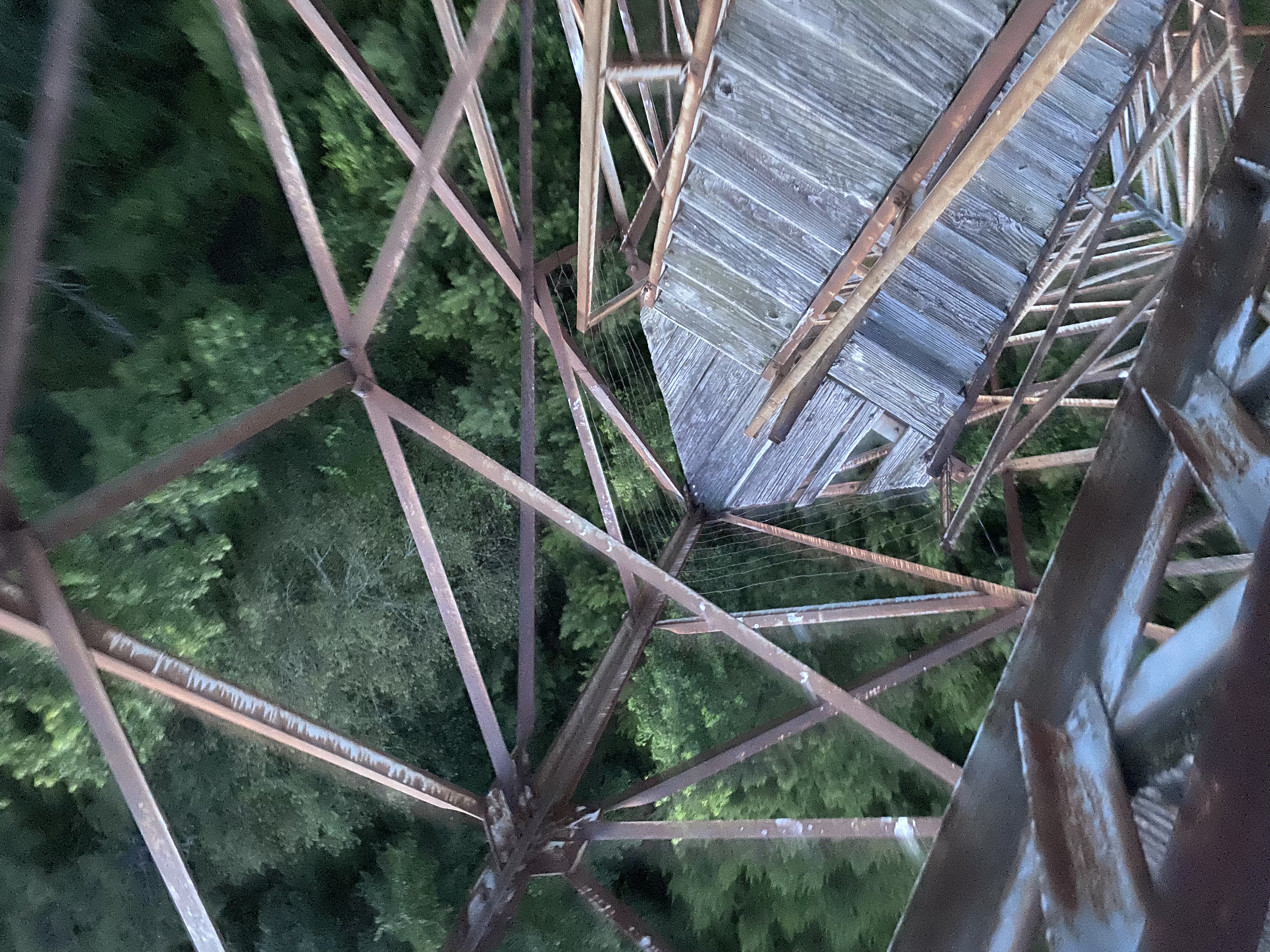 Climb the Unnamed Fire Tower in Tuscaloosa