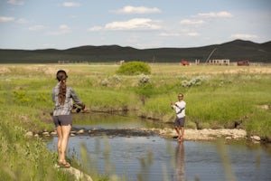 Fly Fish North Fork Crazy Woman Creek