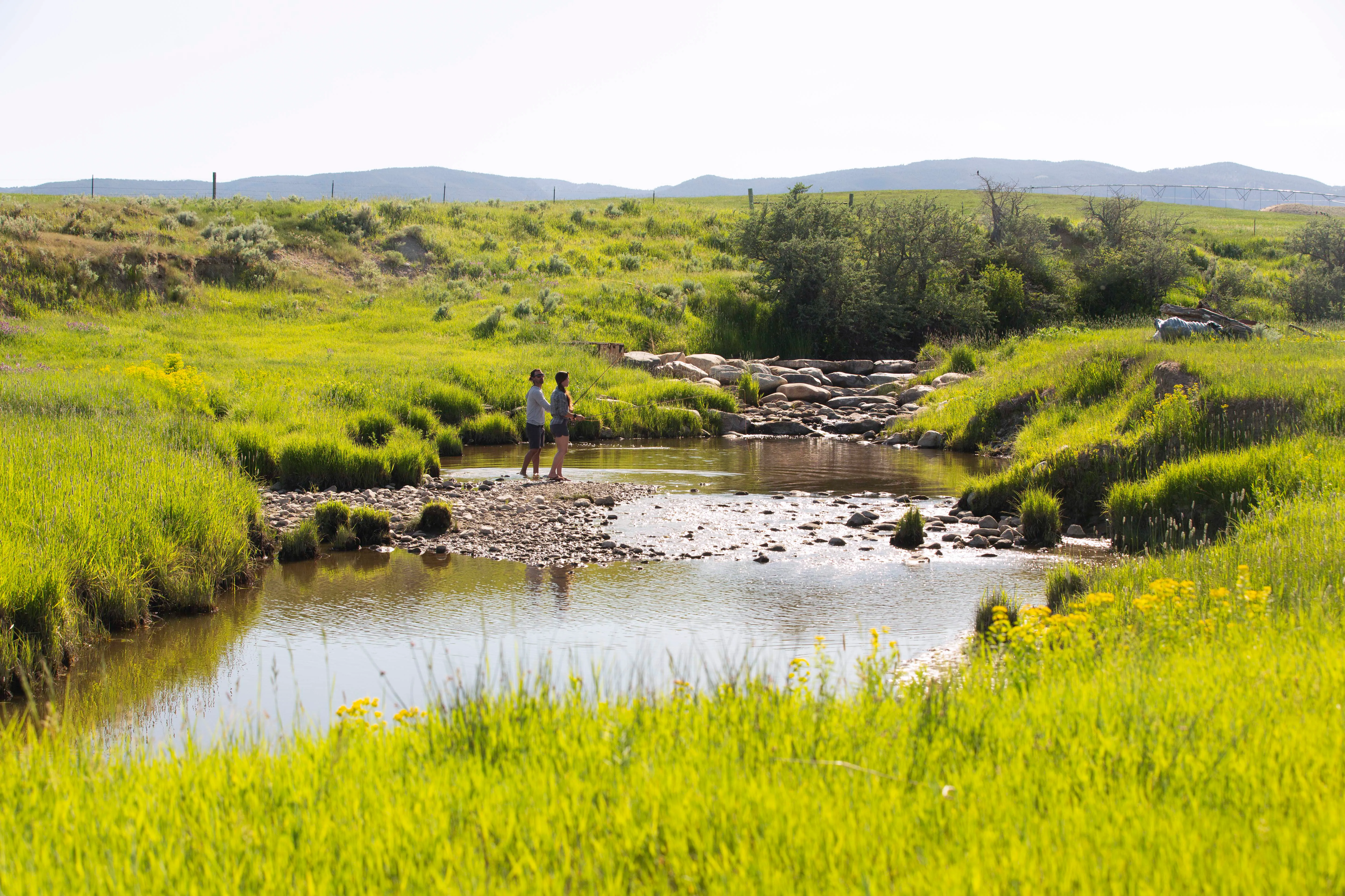 Fly Fish North Fork Crazy Woman Creek