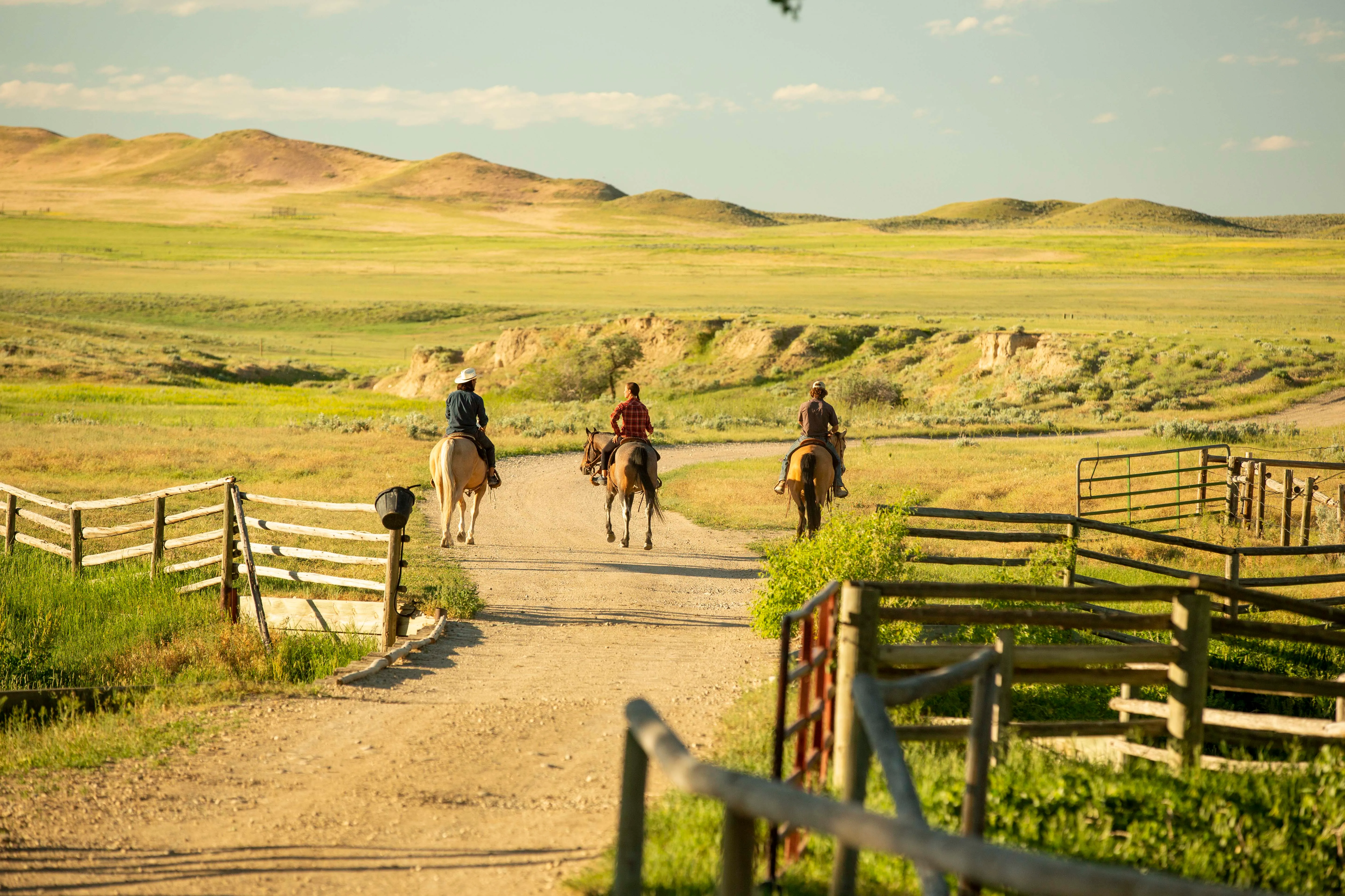 Horseback Trail Ride in Buffalo