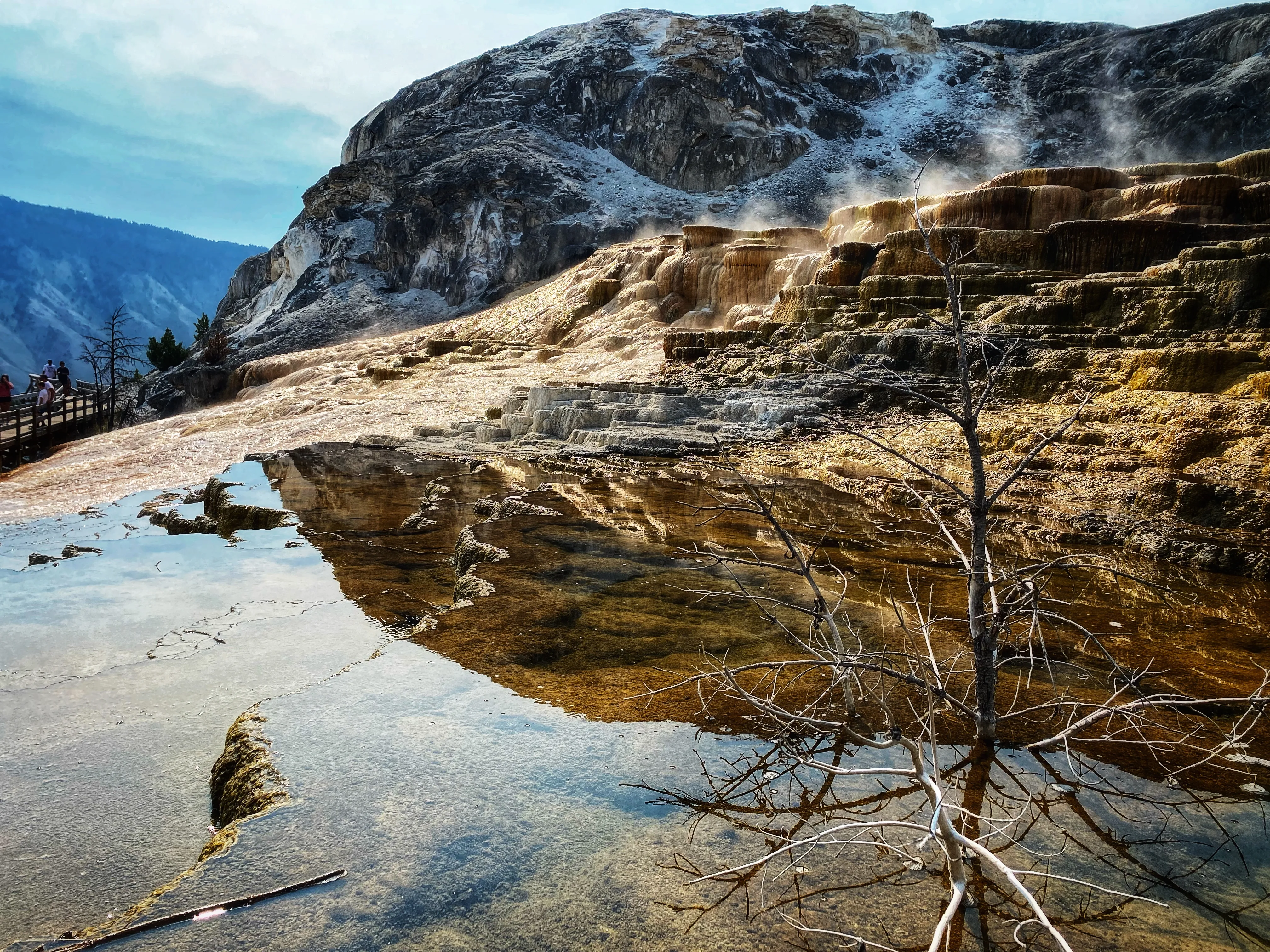 Mammoth Hot Springs