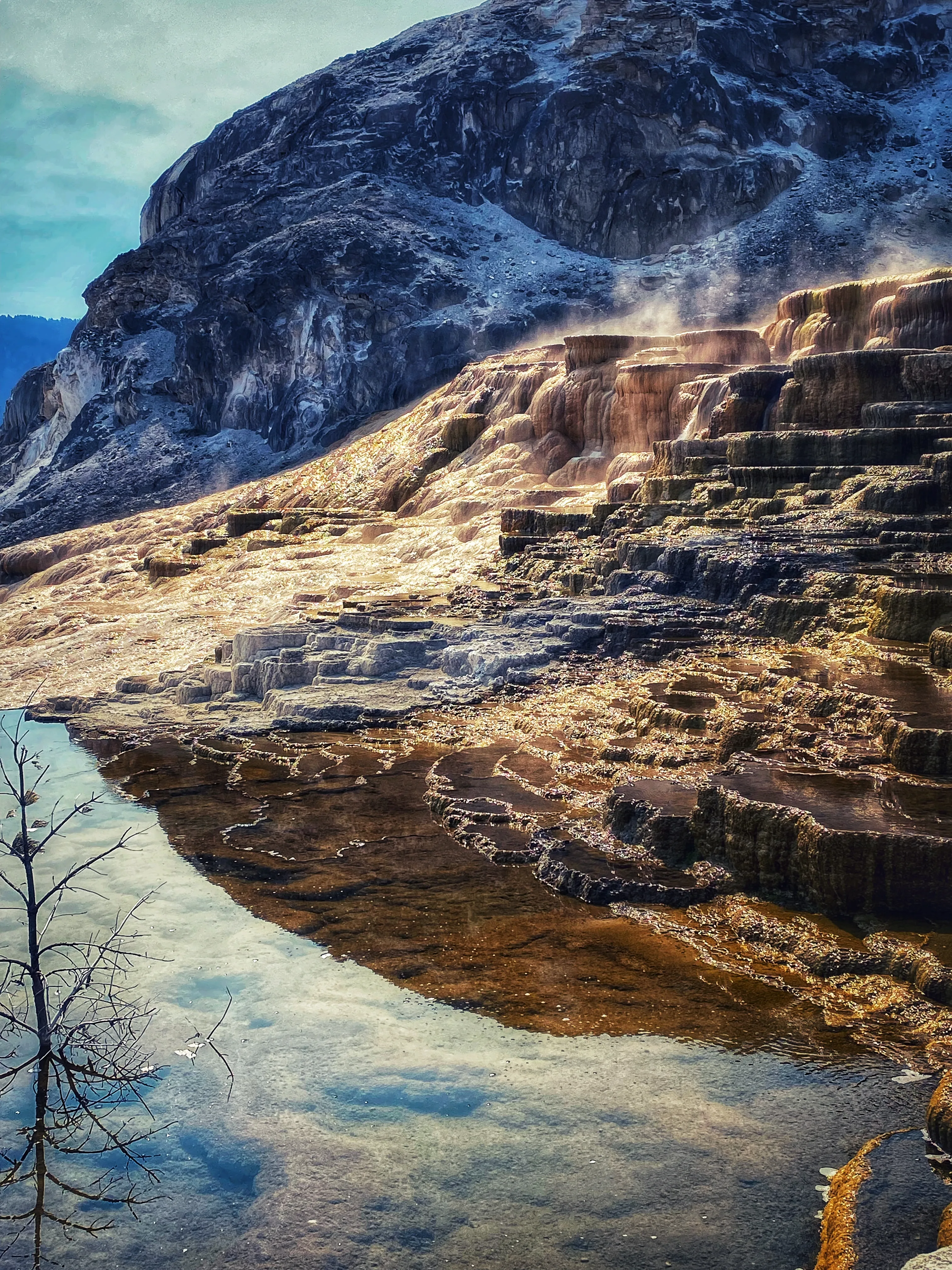 Mammoth Hot Springs