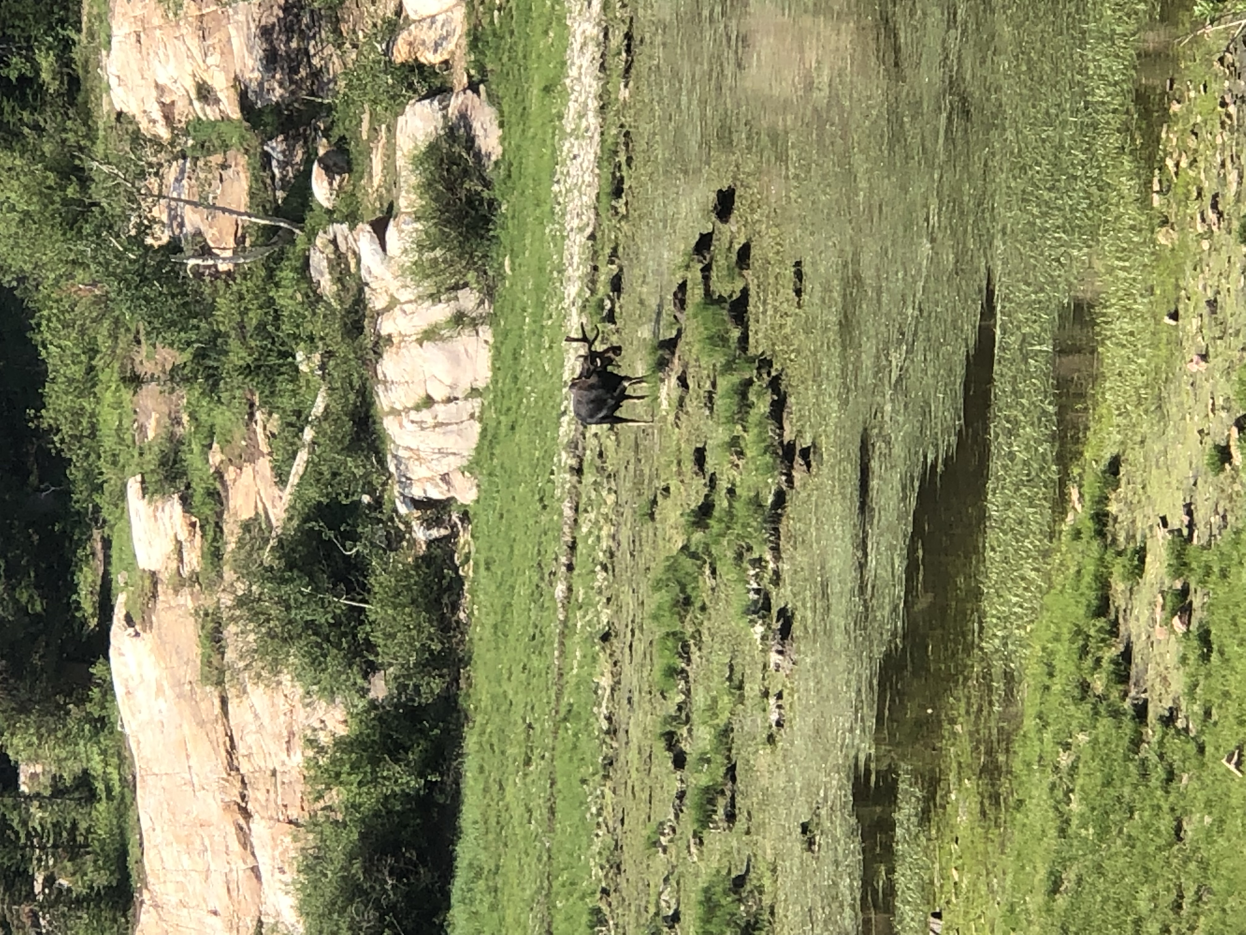 Lake Blanche Trail
