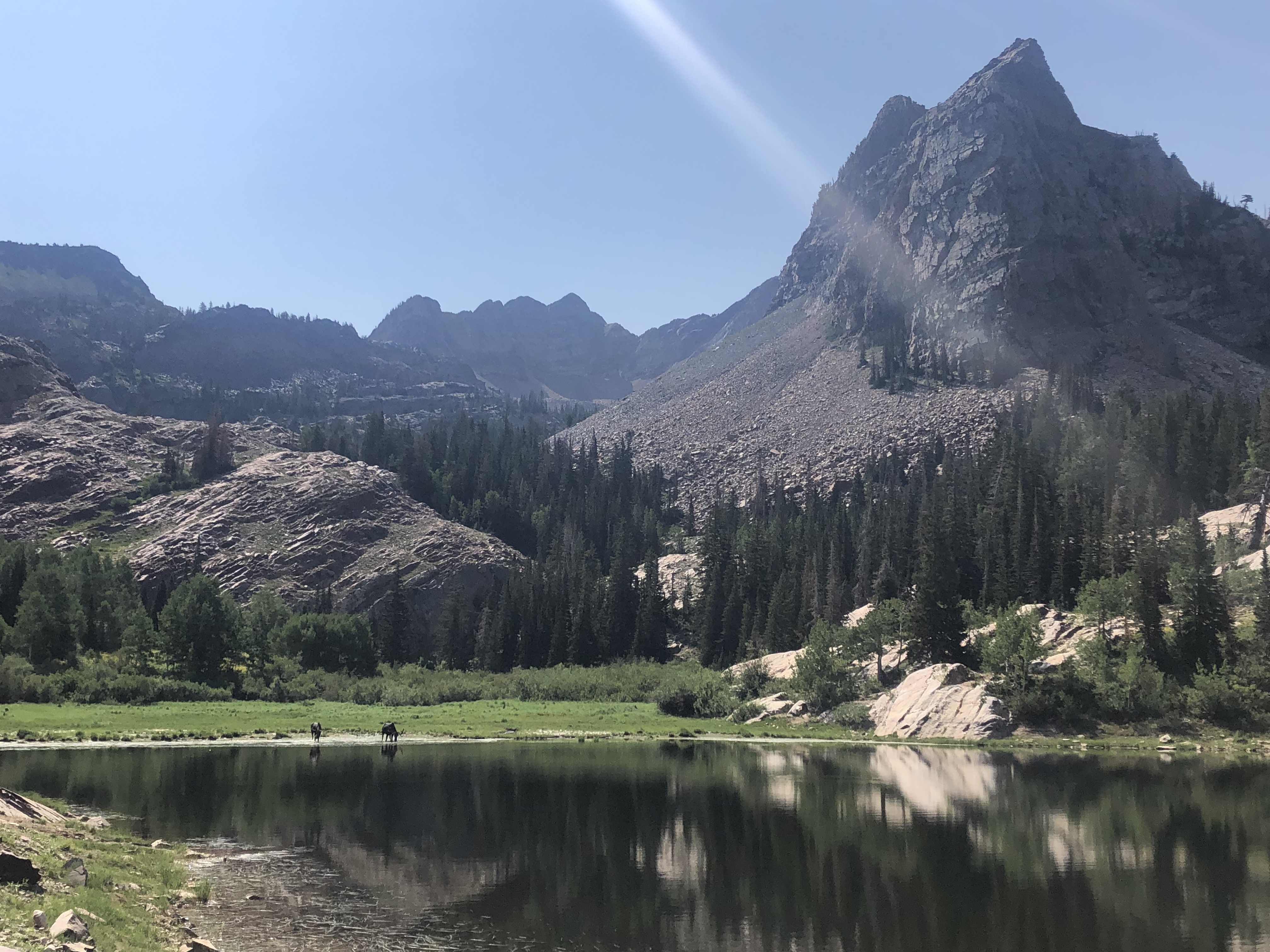 Lake Blanche Trail