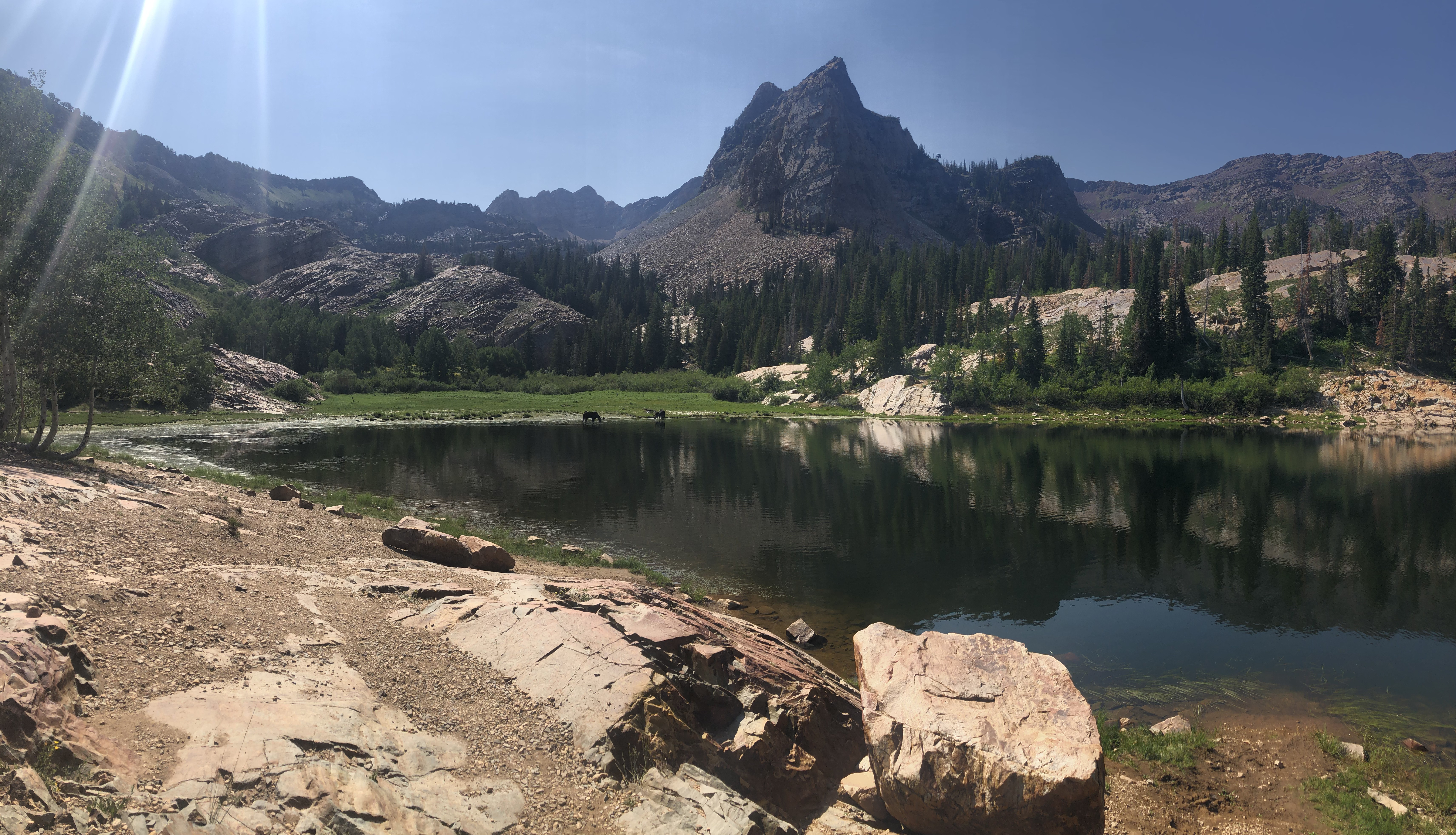 Lake Blanche Trail