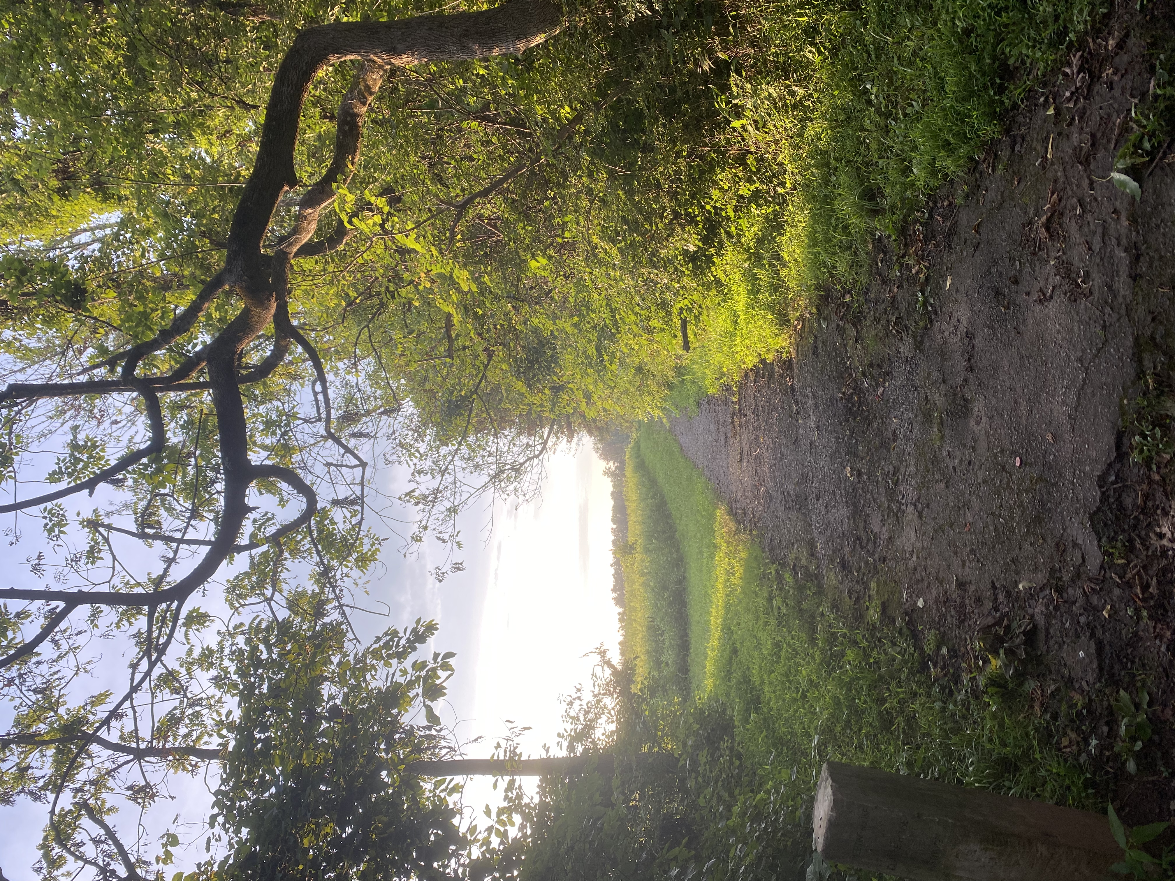 Princeton Battlefield Park Suspension Bridge