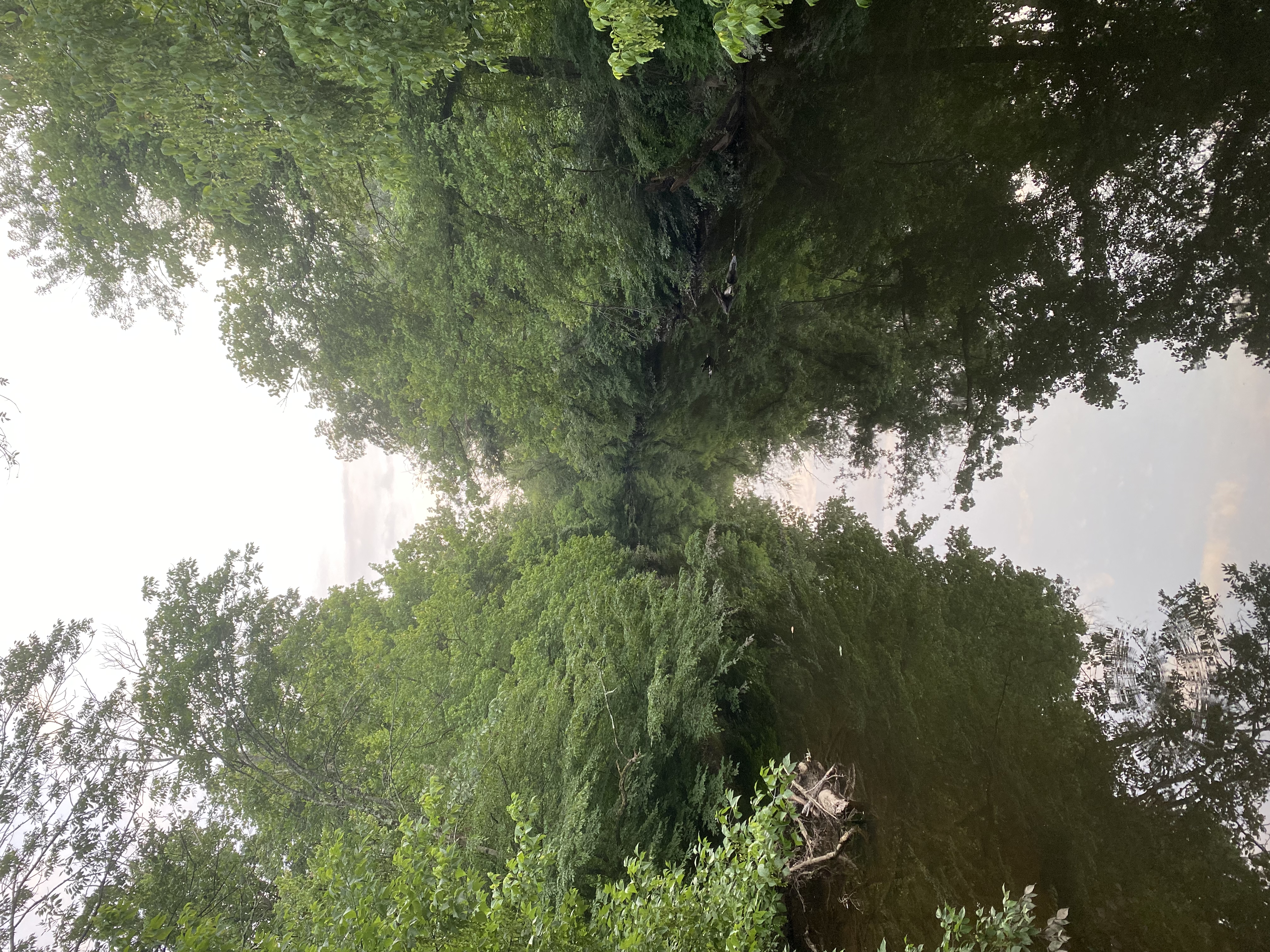 Princeton Battlefield Park Suspension Bridge