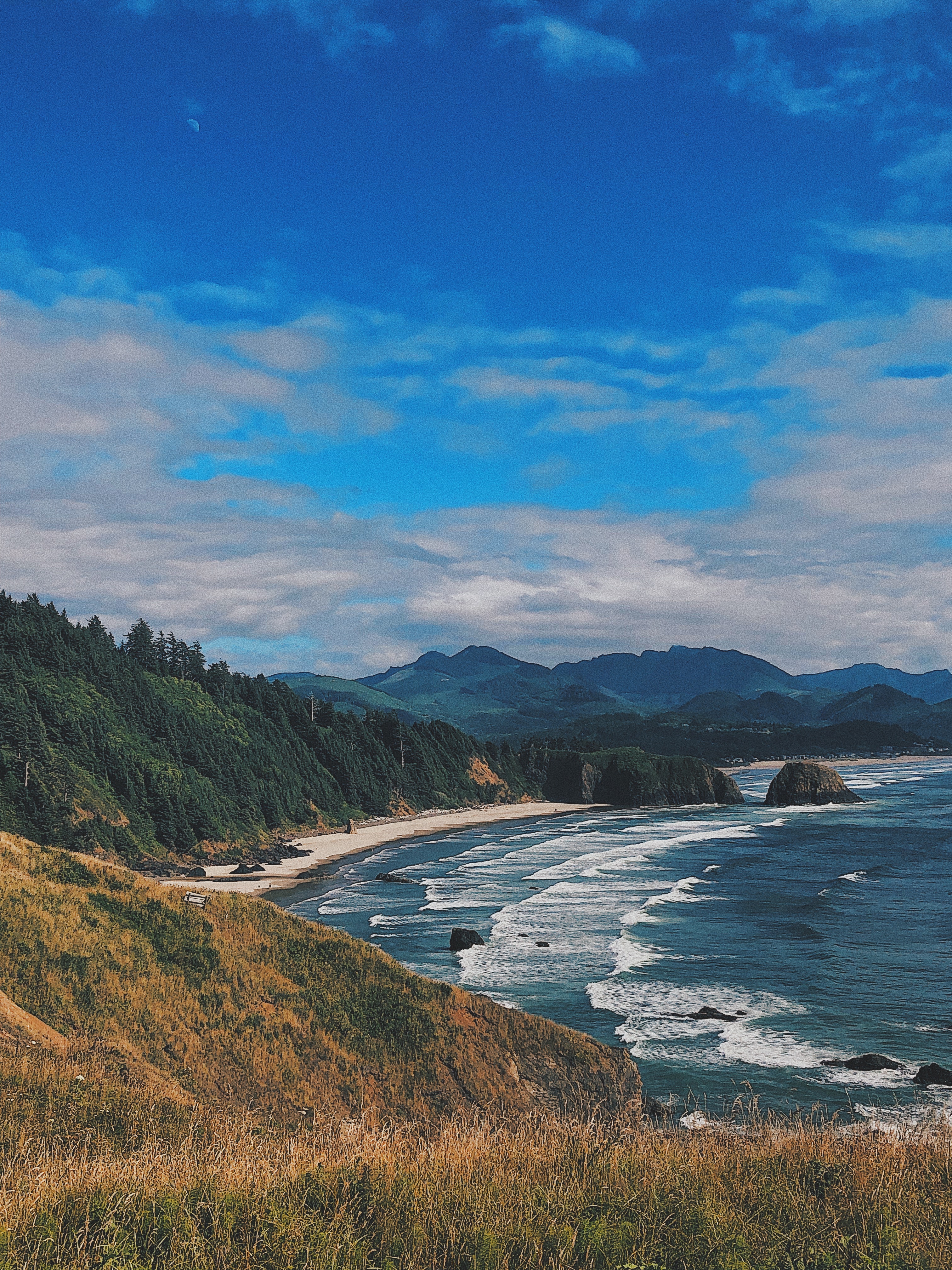 Explore Ecola State Park