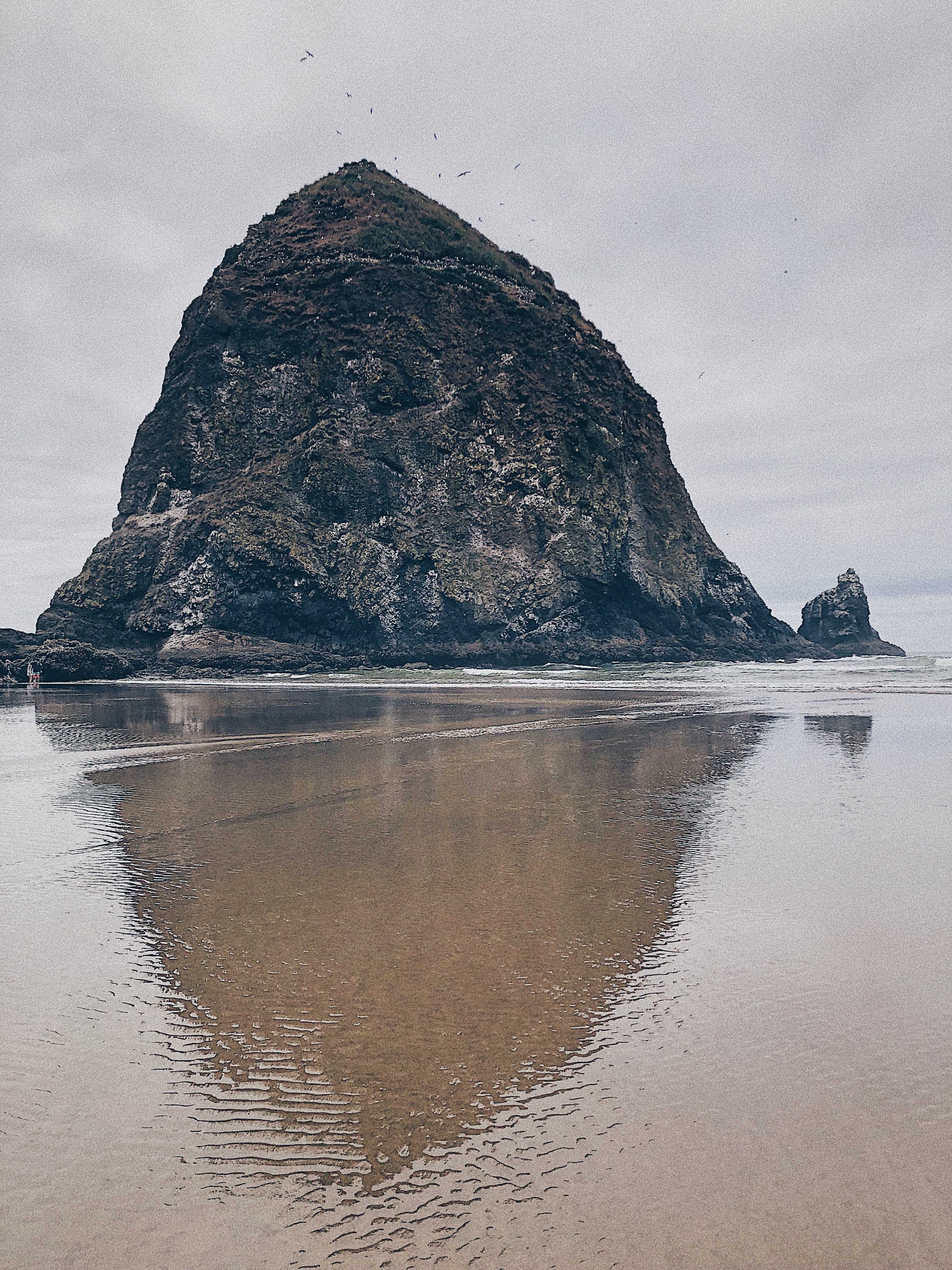 Cannon Beach 