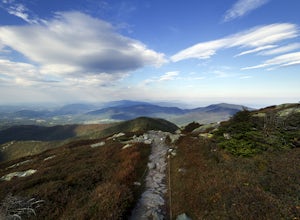 Top 10 Hikes in Vermont for Summer and Fall