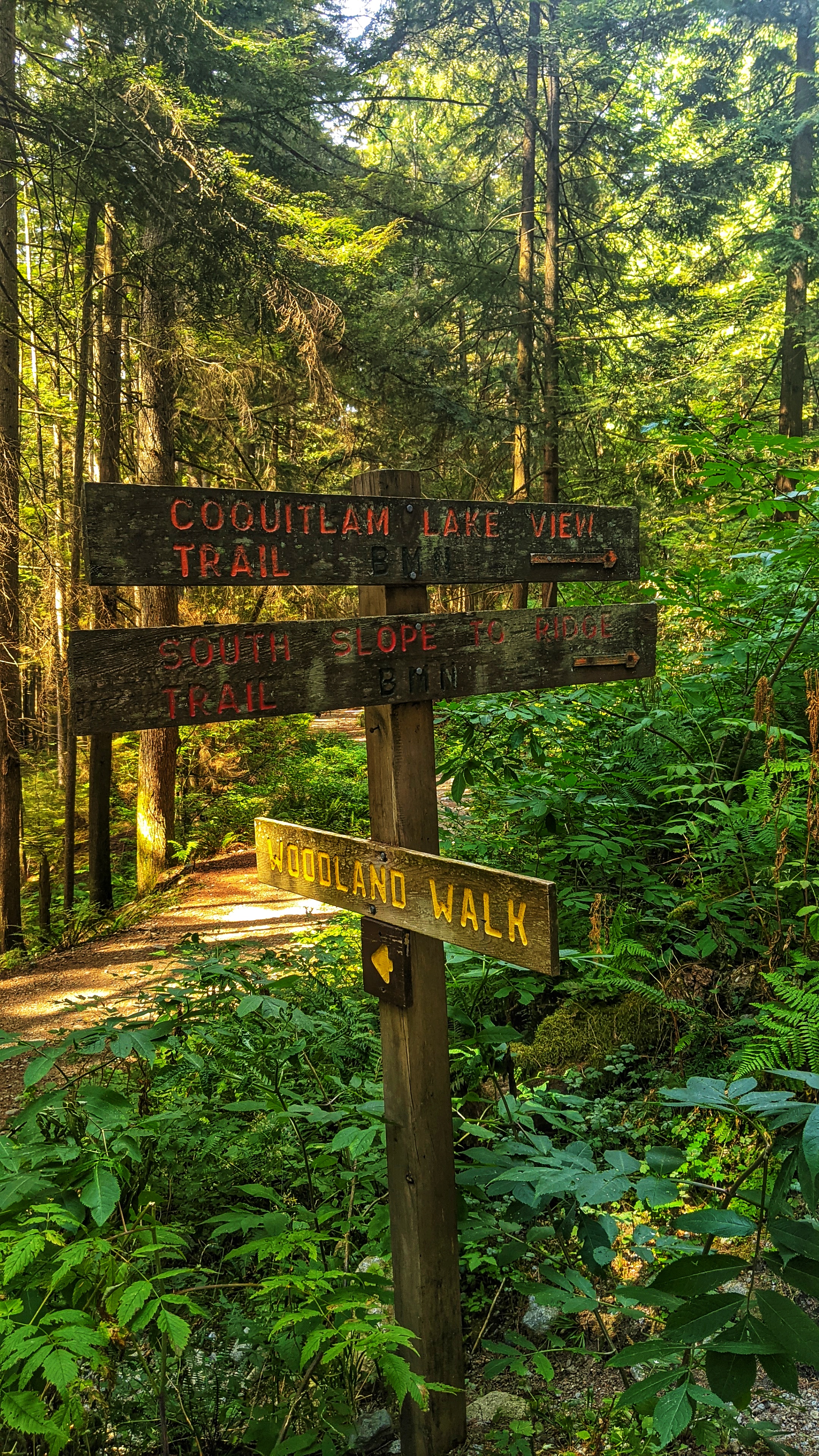 Hike to Sawblade Falls