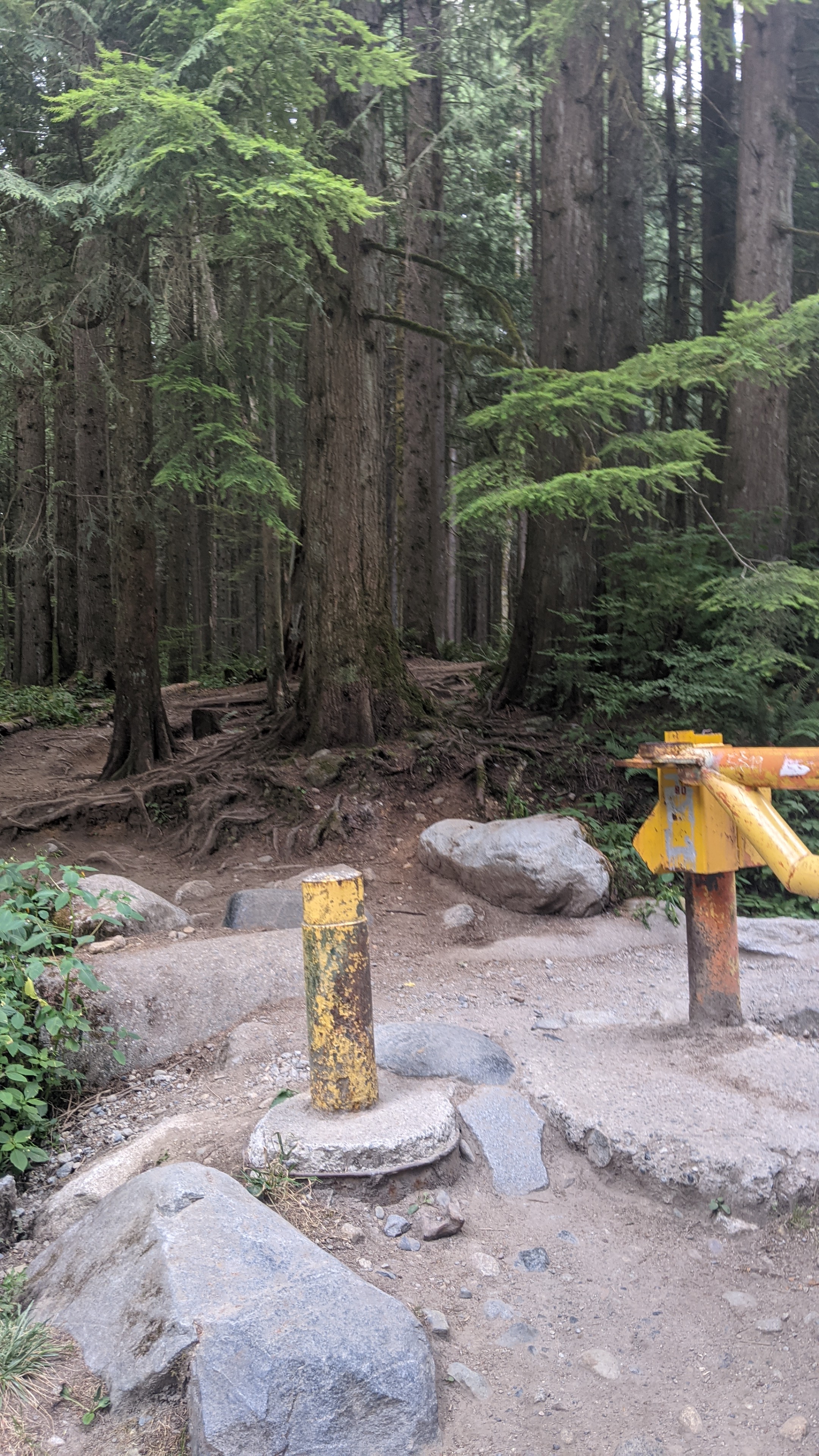Hike to Sawblade Falls