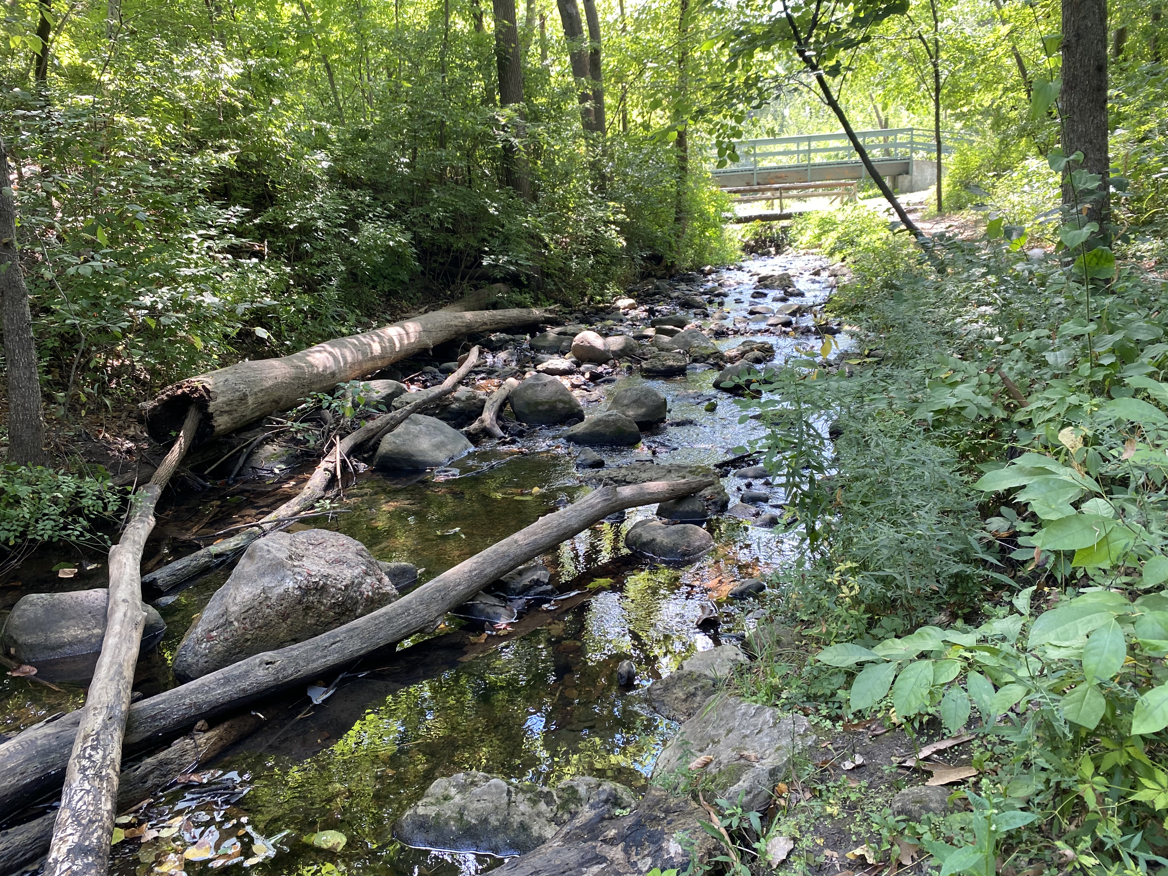Hike France Park