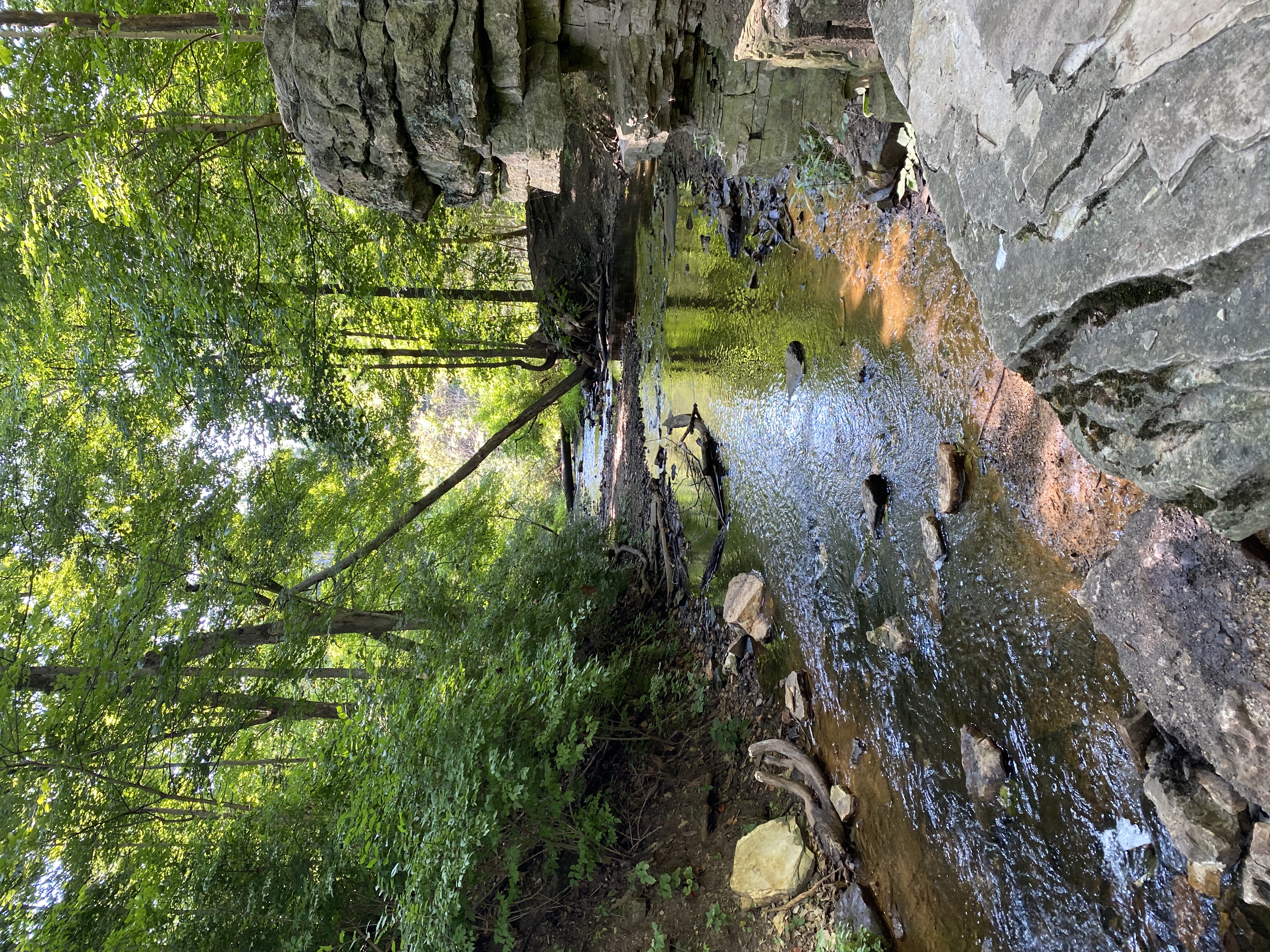 Hike France Park