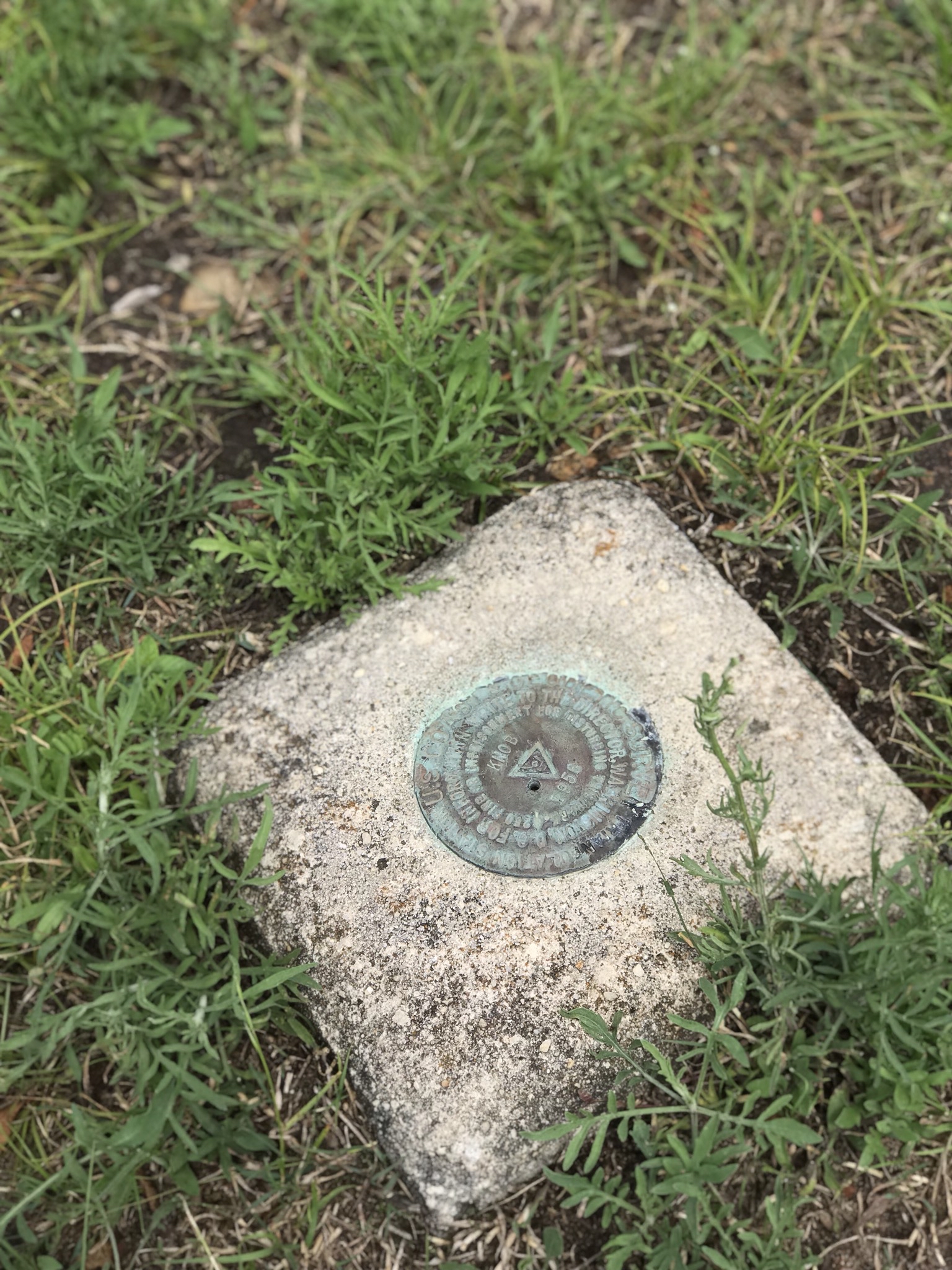 High Knob Tower Trail