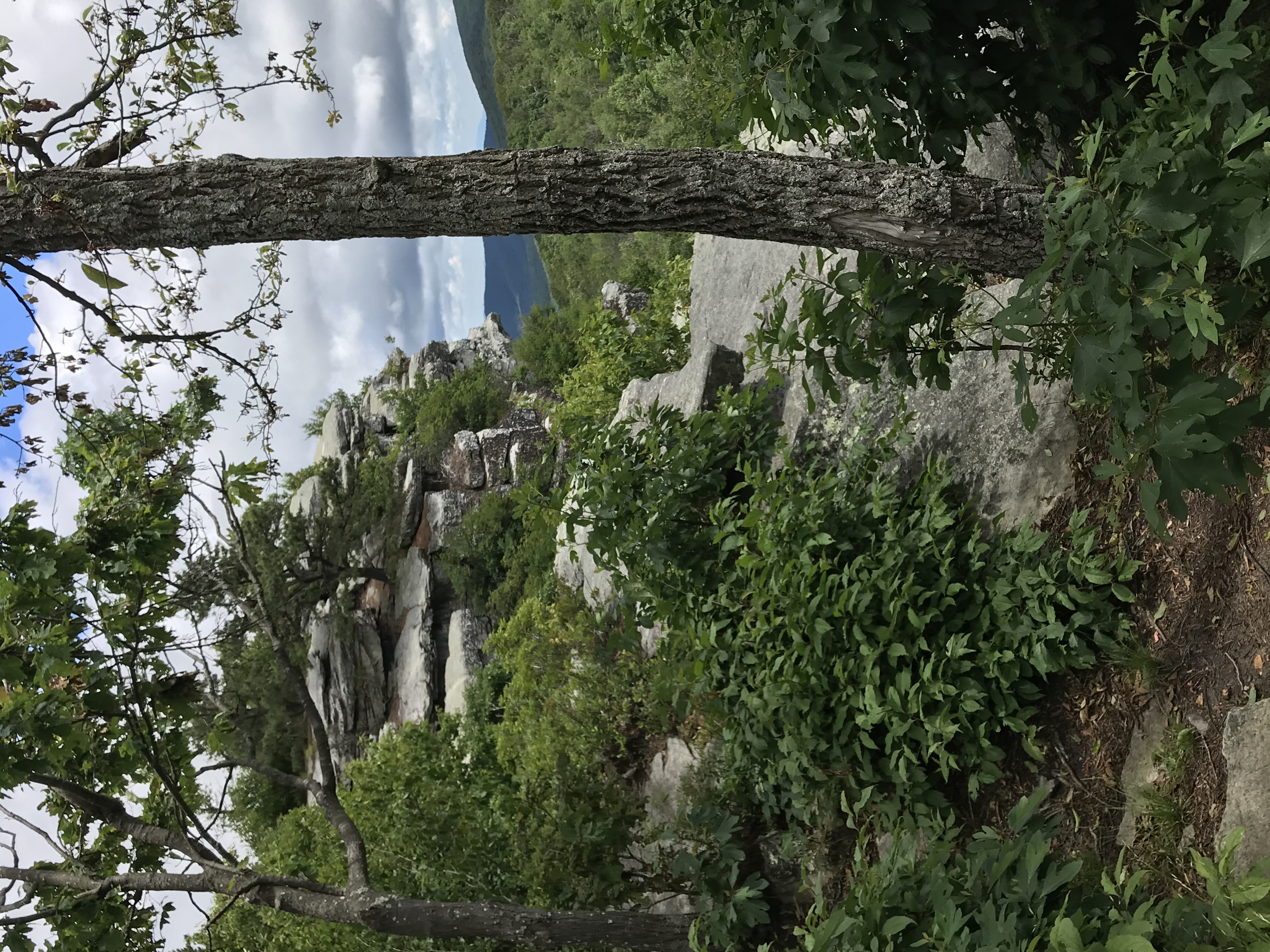 Big Schloss Cutoff Trail