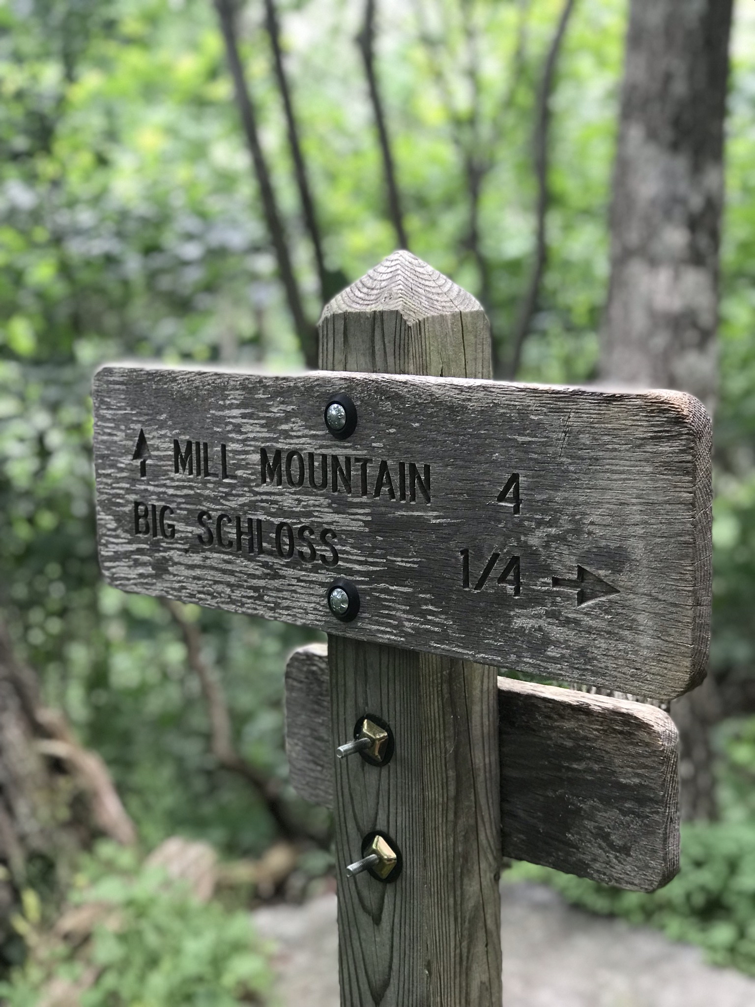 Big Schloss Cutoff Trail