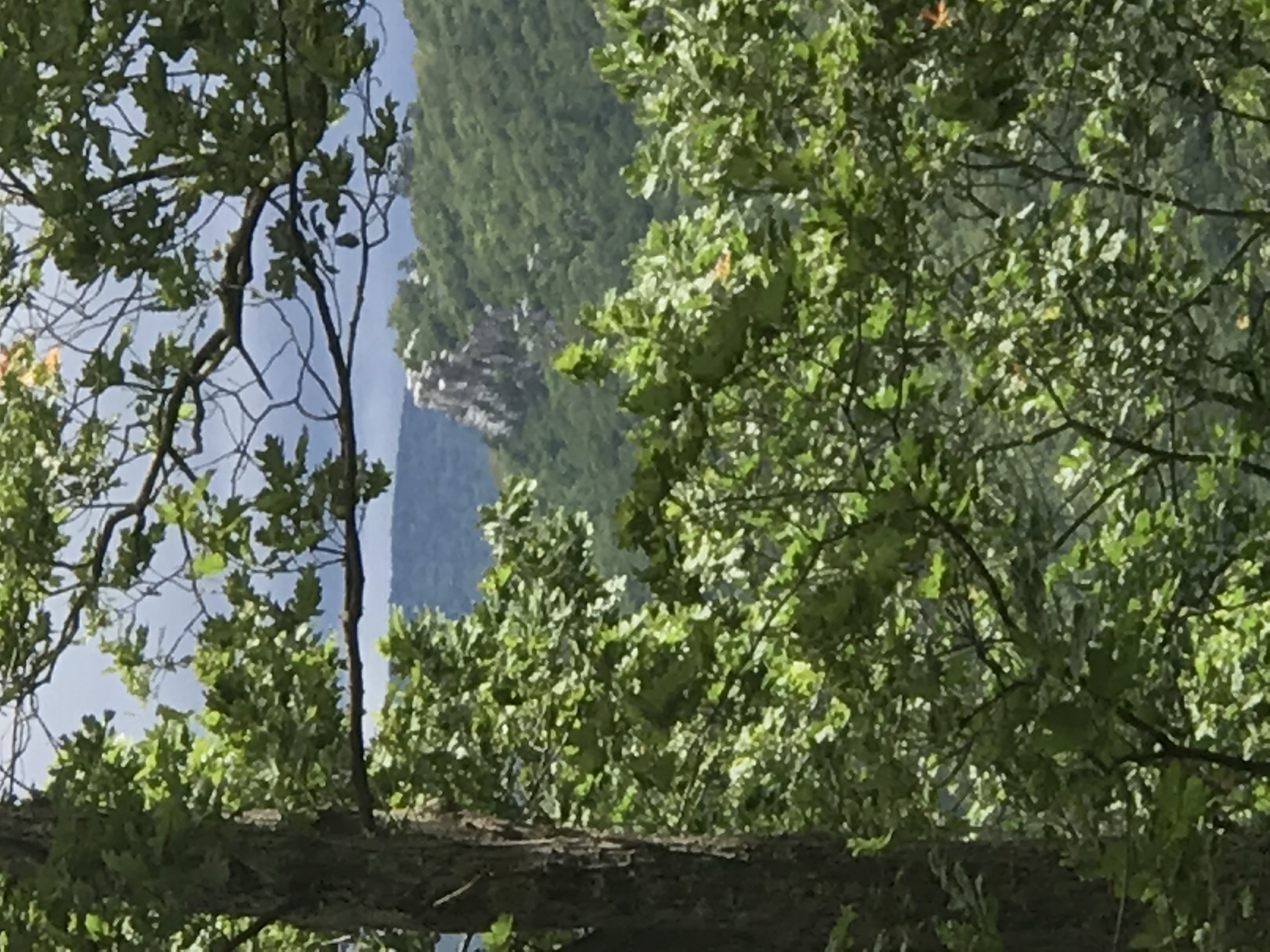 Big Schloss Cutoff Trail