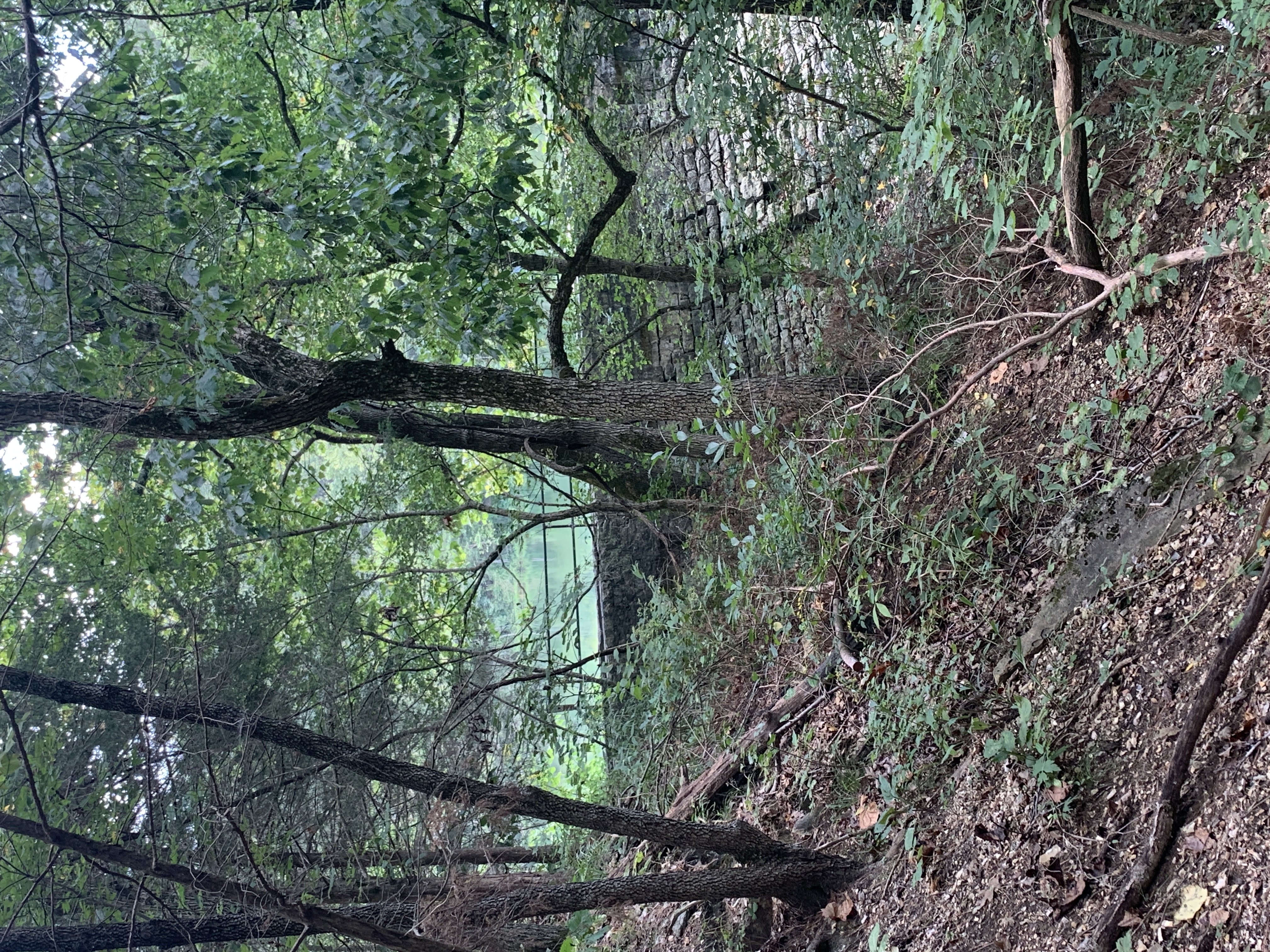 Black Bass Lake Trail