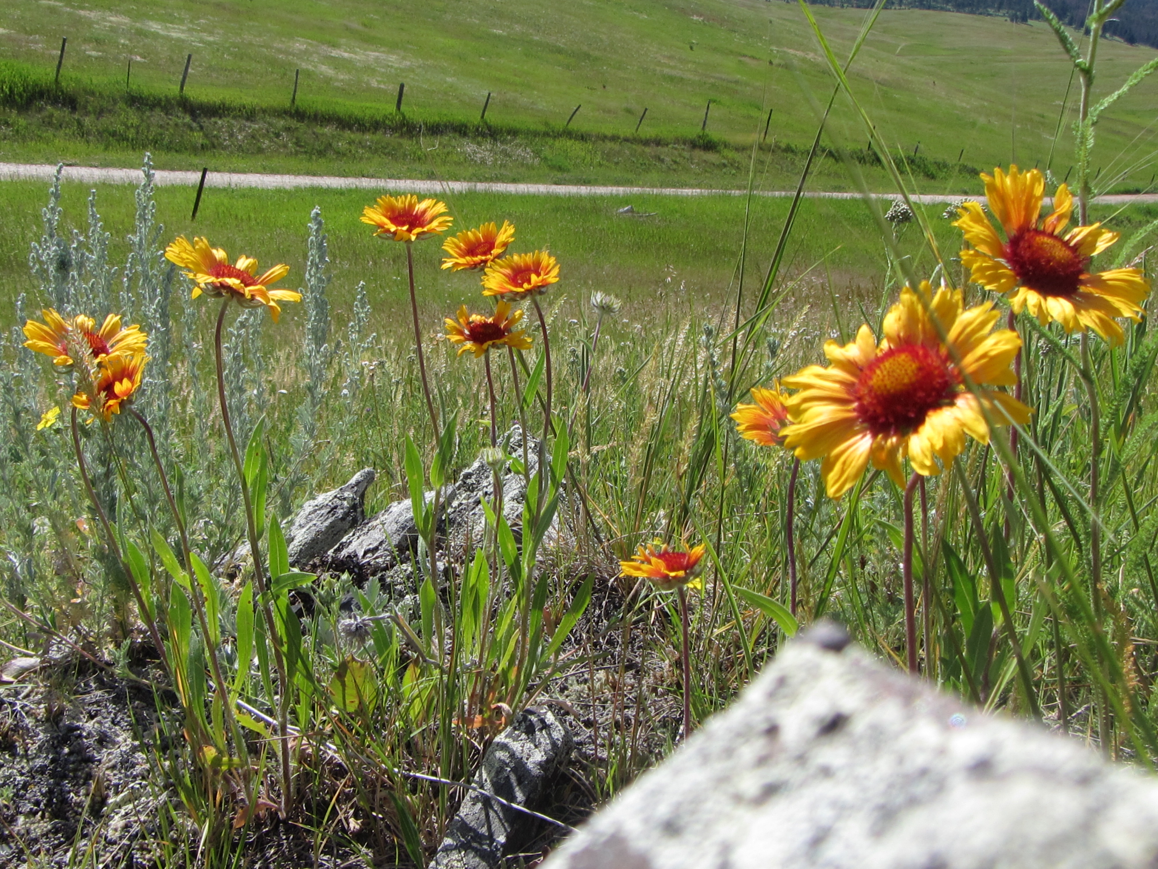 Hike the Deerfield Lake Trail to Slate Creek Convergence
