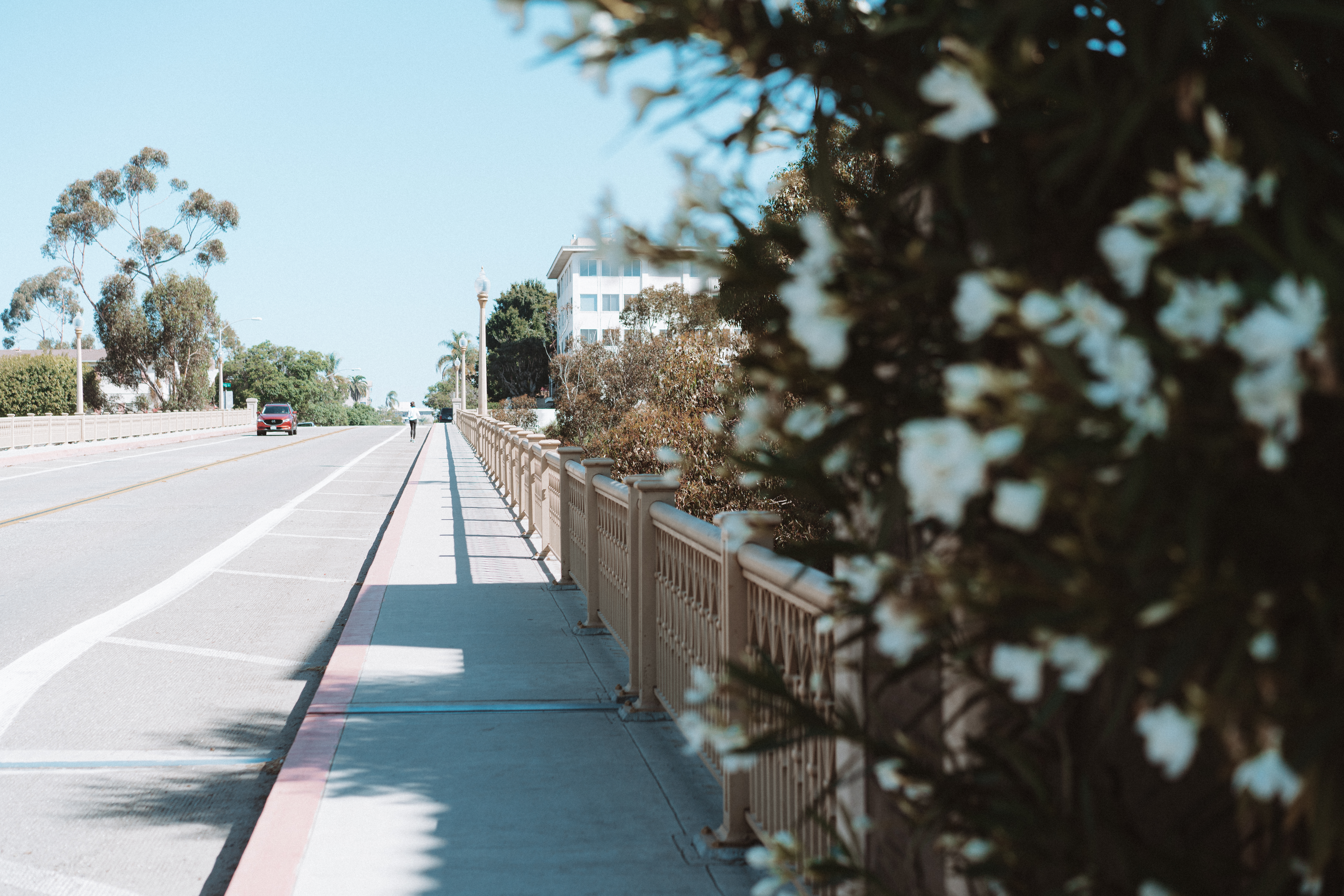 Seven Bridge Walk Loop