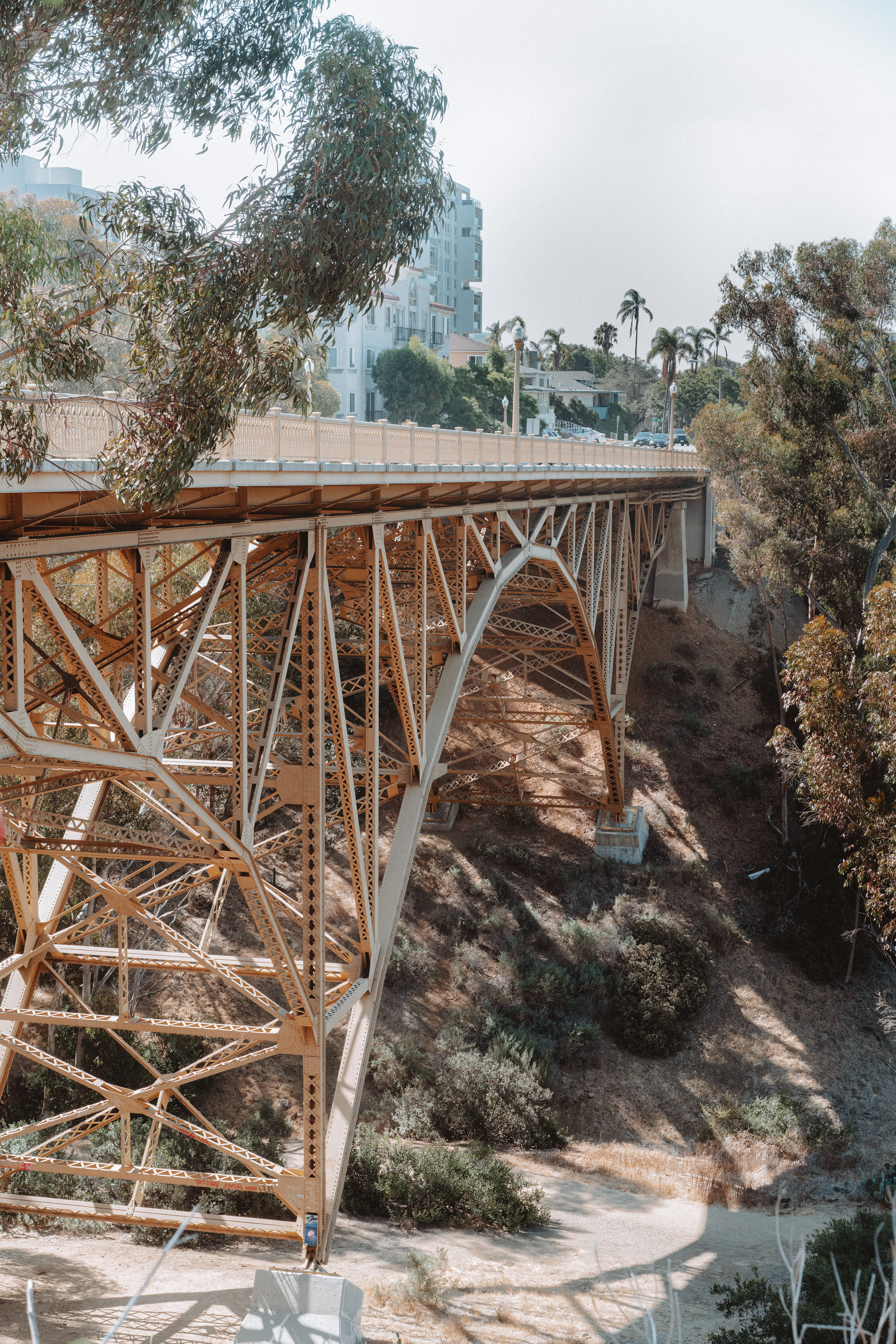 Seven Bridge Walk Loop