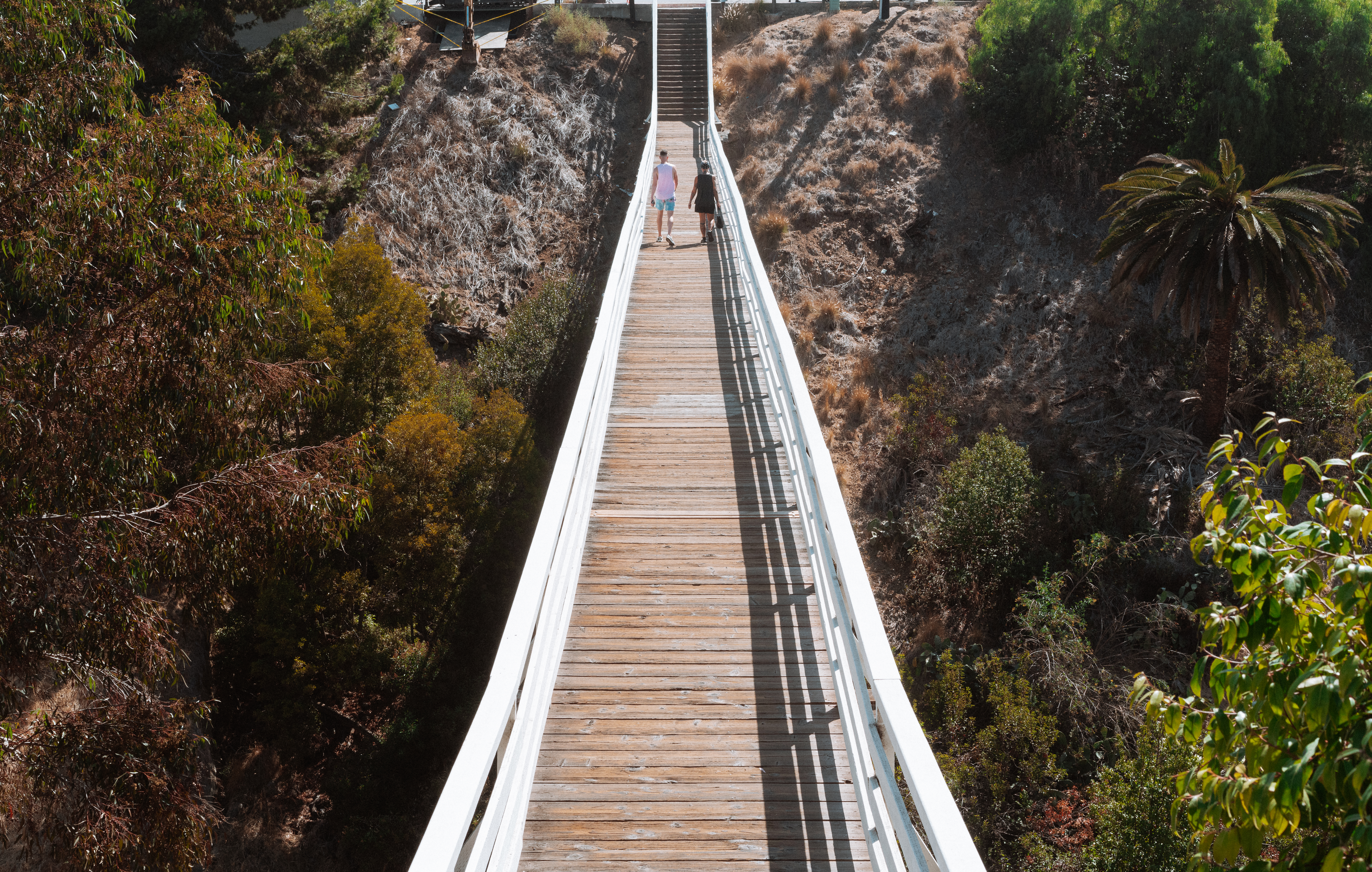 Seven Bridge Walk Loop