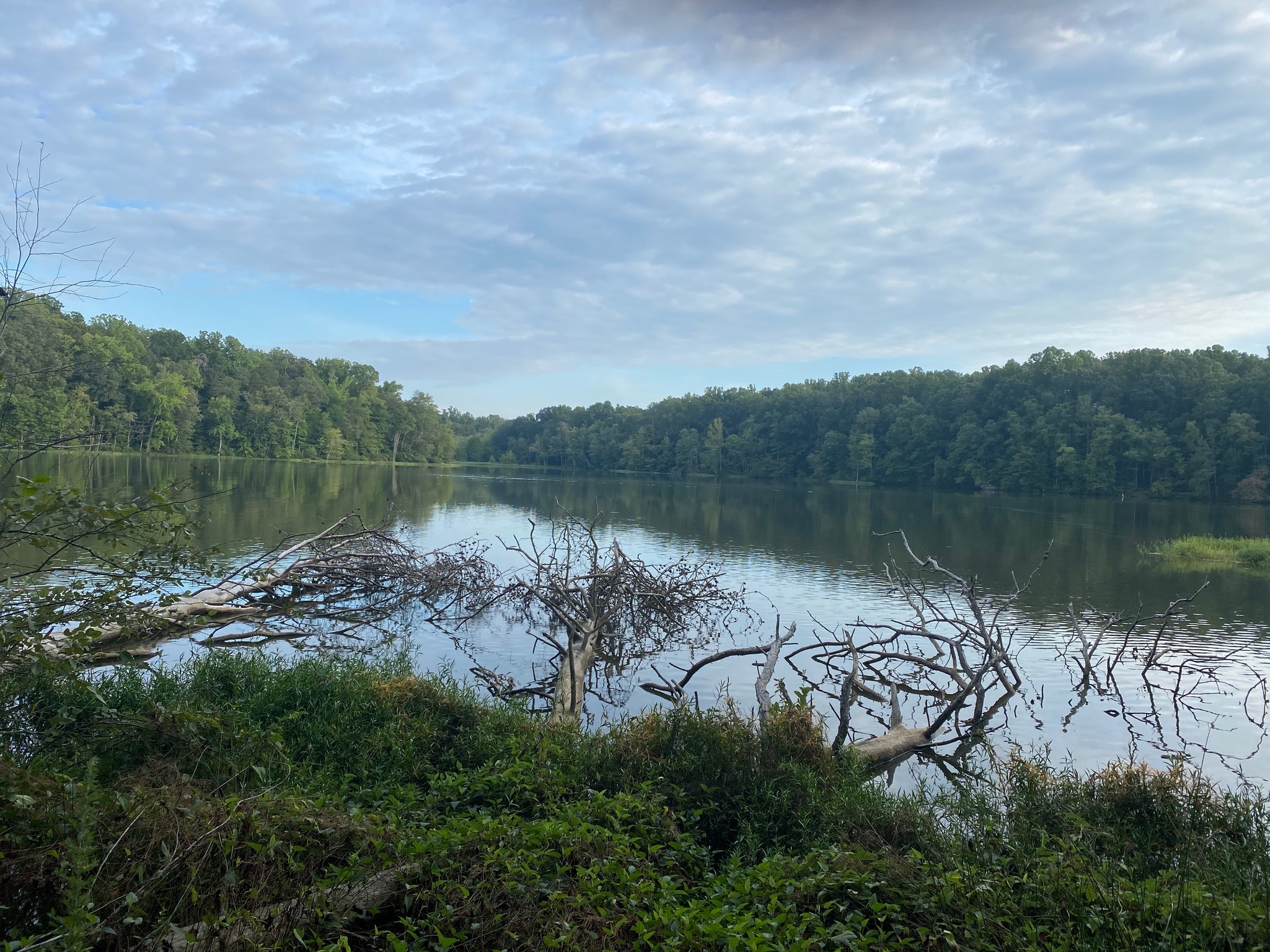 Salem Lake Trail