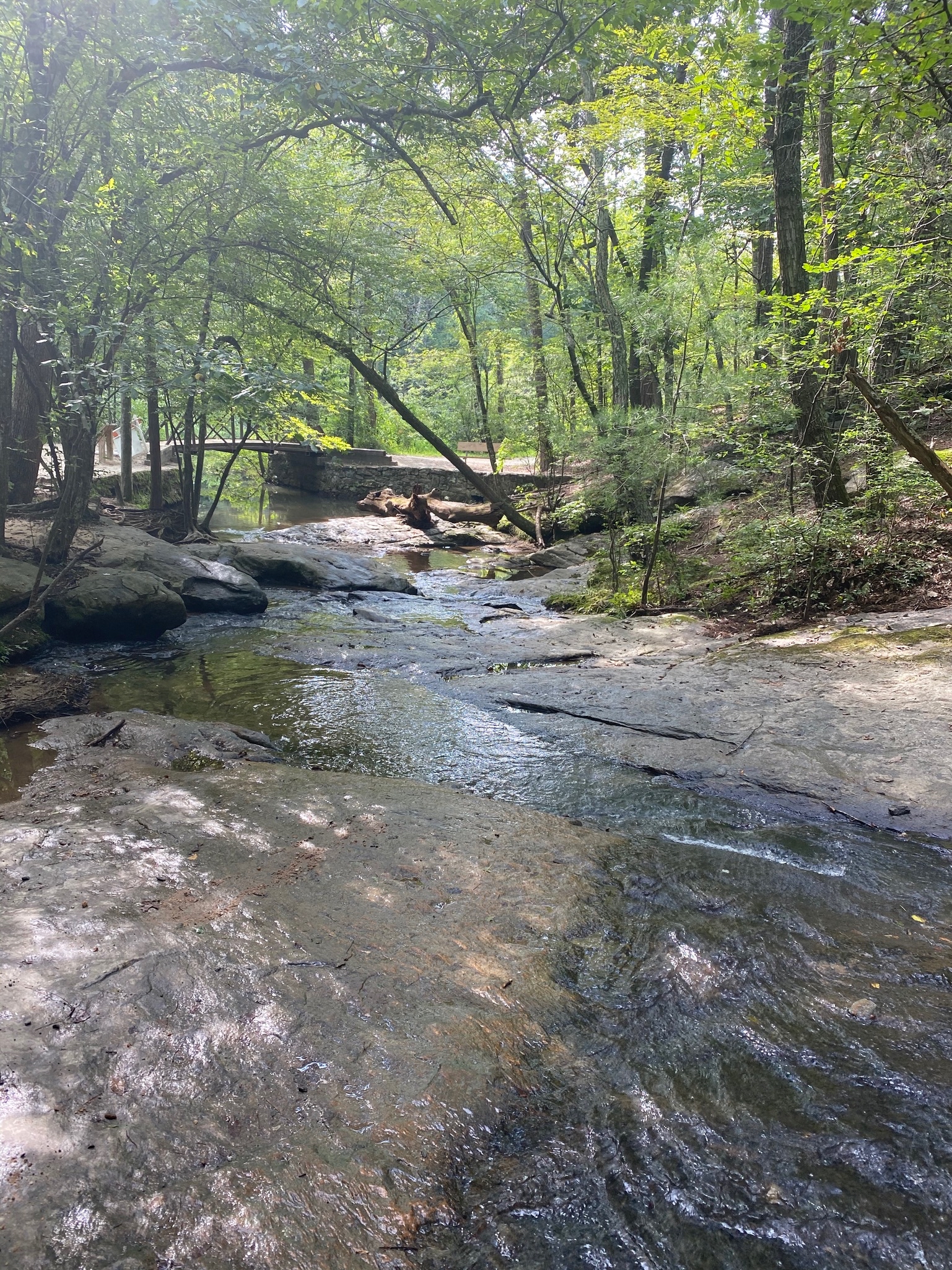 Salem Lake Trail