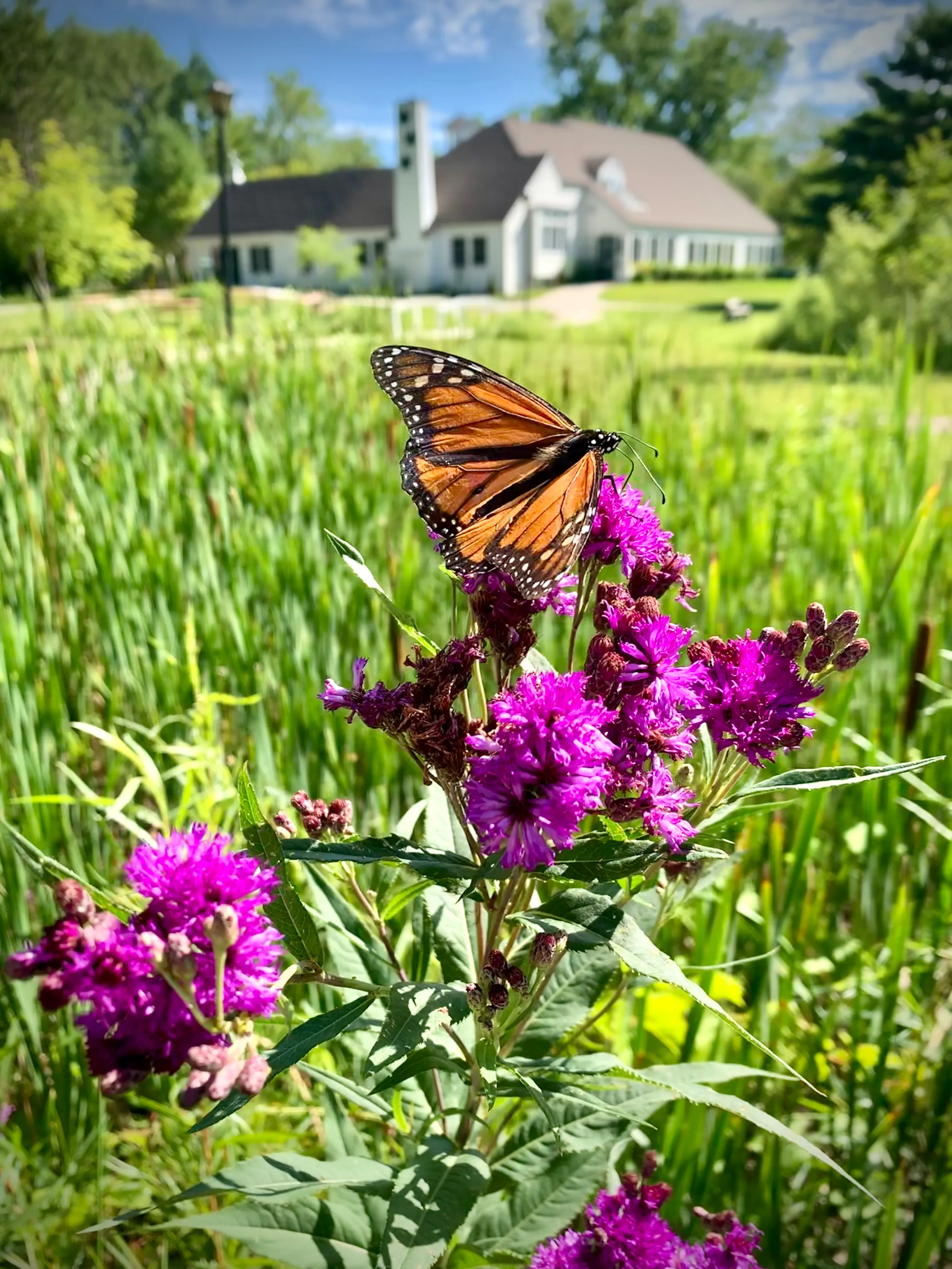 Barkhausen Waterfowl Preserve