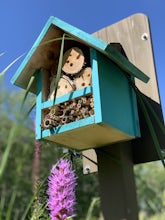 Barkhausen Waterfowl Preserve