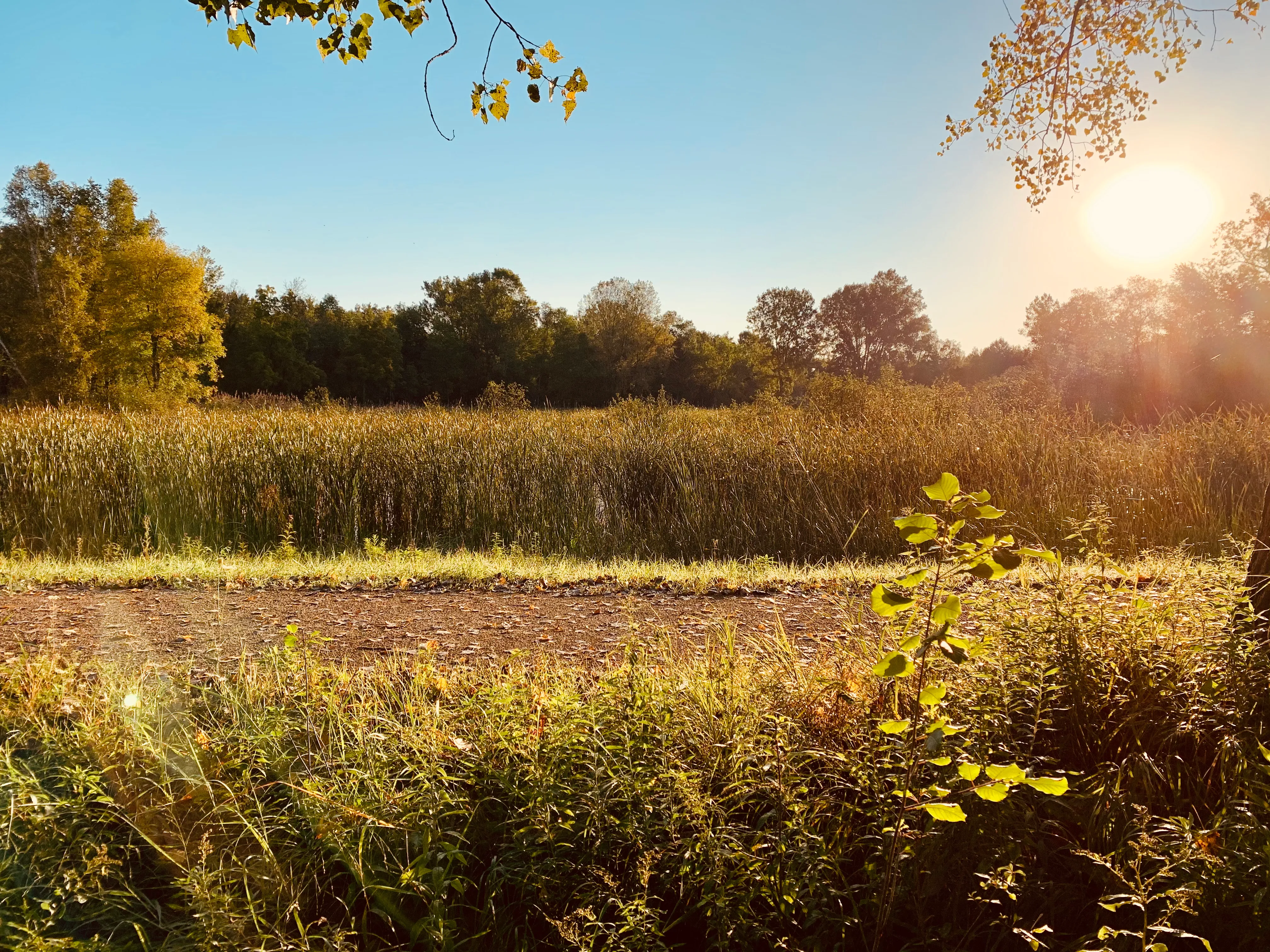 Barkhausen Waterfowl Preserve