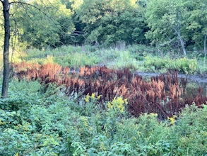 Baird Creek West Loop