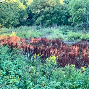 Baird Creek West Loop