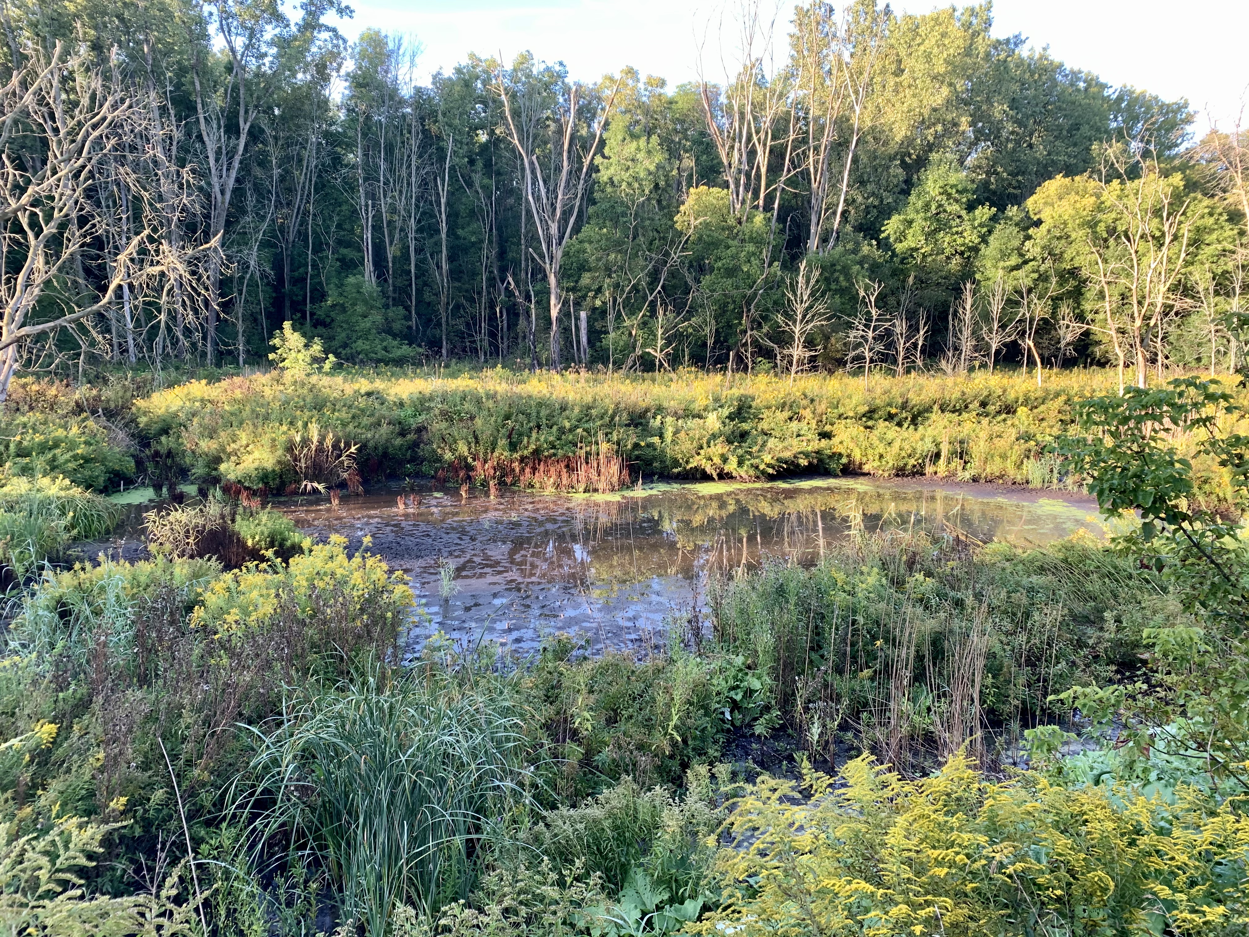 Baird Creek West Loop