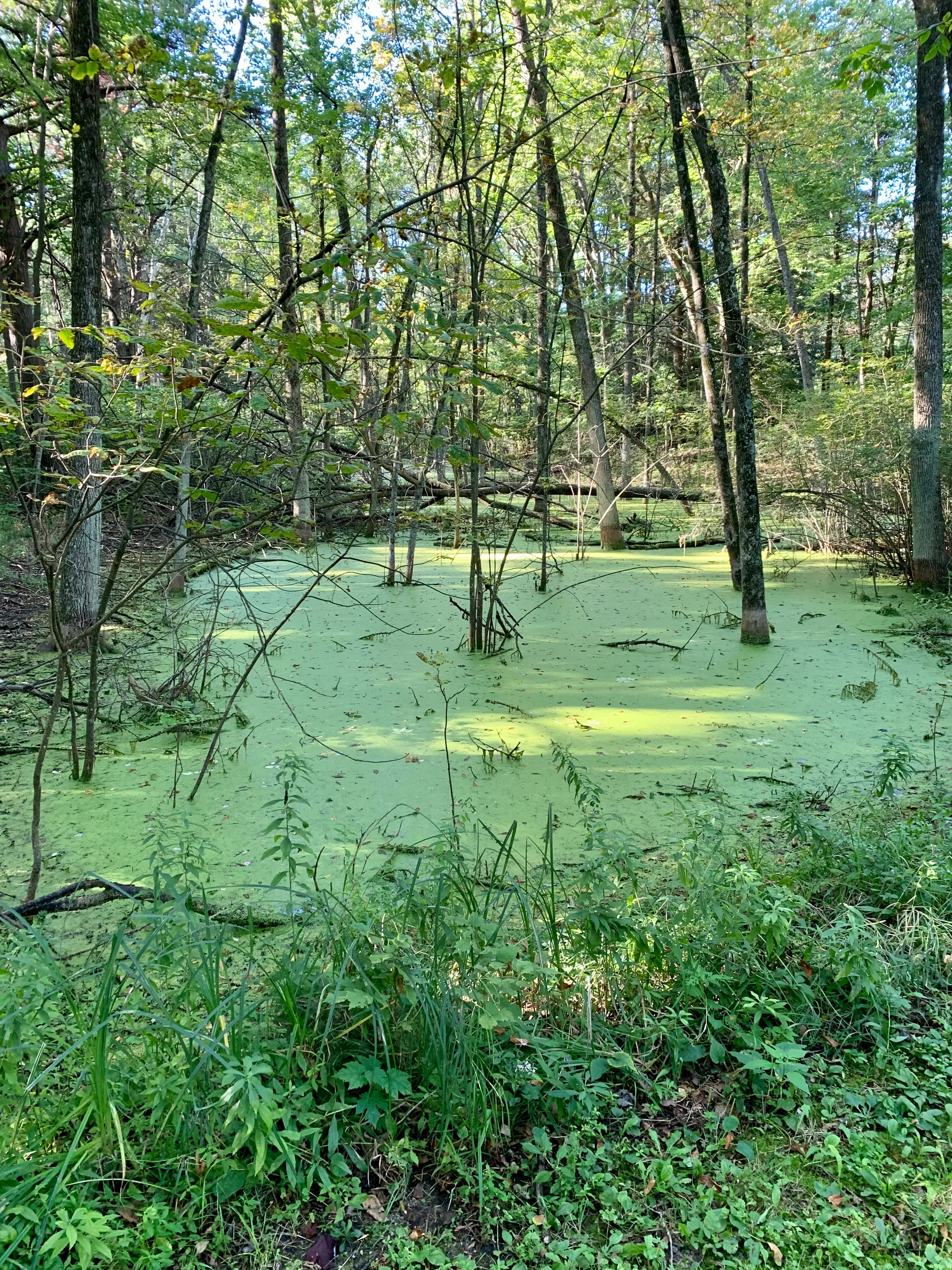 Rawley Point Trail