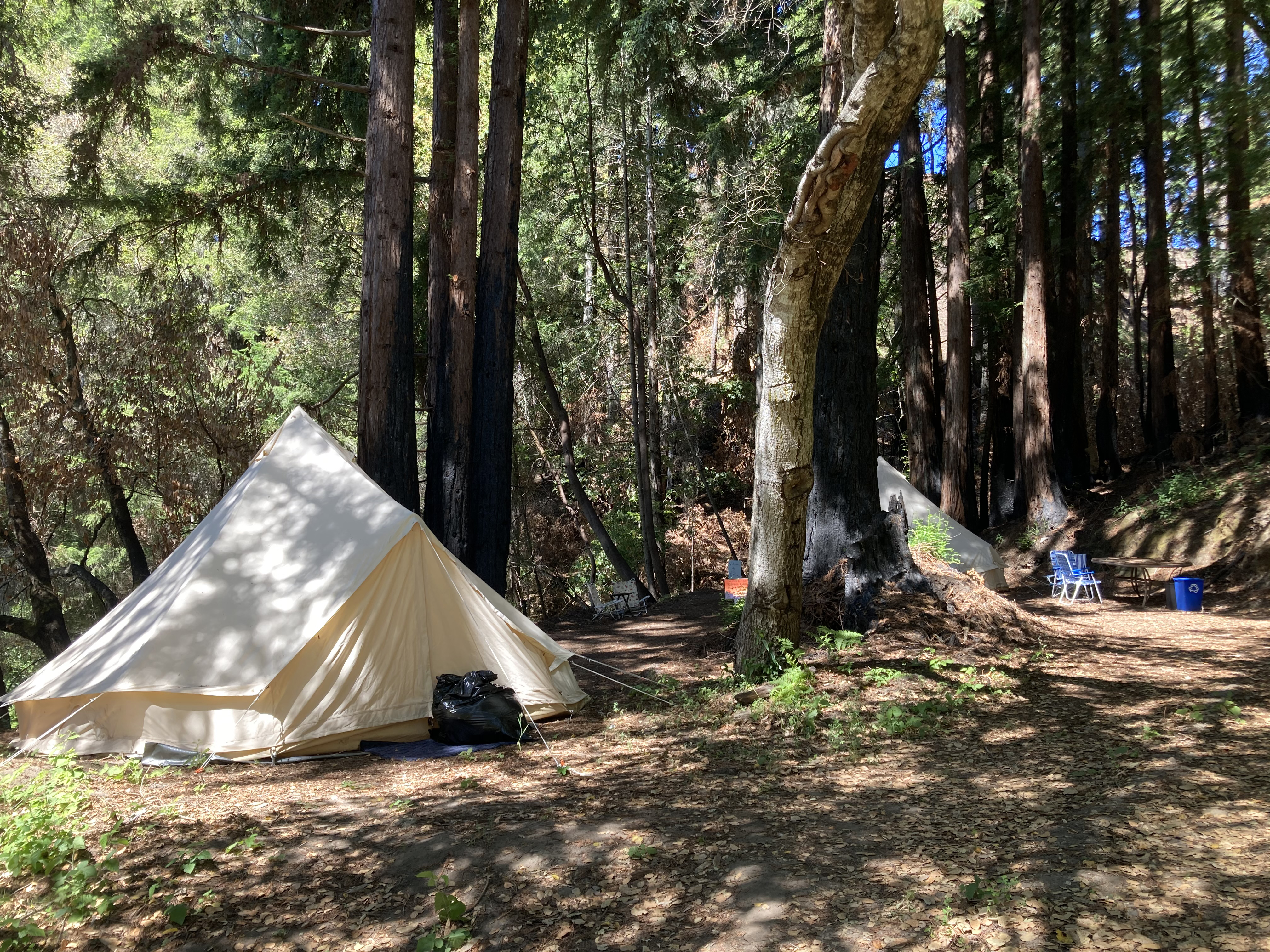 Camp at Huckleberry Campground