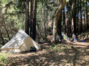 Camp at Huckleberry Campground