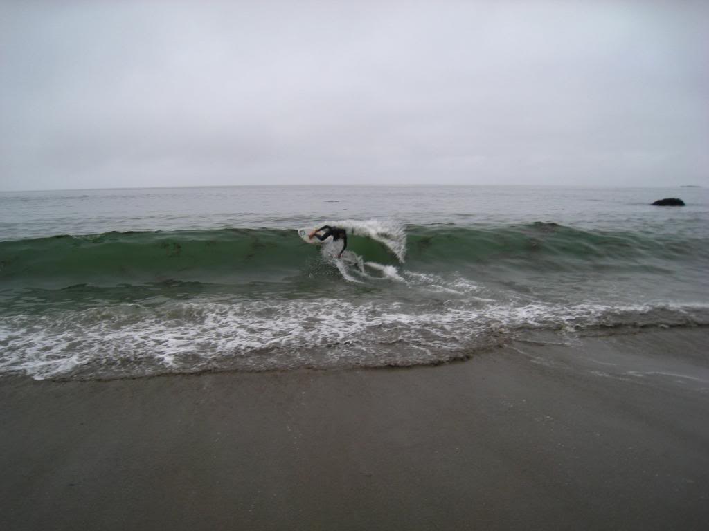 Sand Dollar Beach