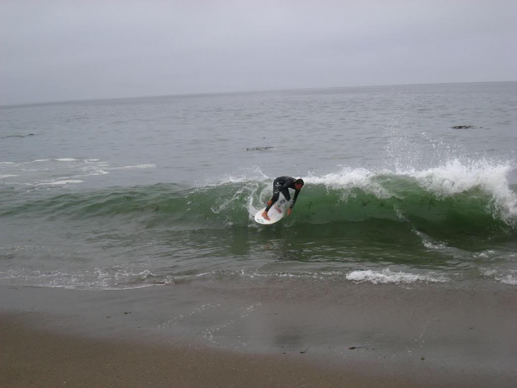 Sand Dollar Beach