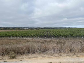 Laguna de Santa Rosa Loop Trail