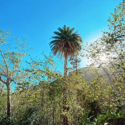 Solstice Canyon Loop Trail