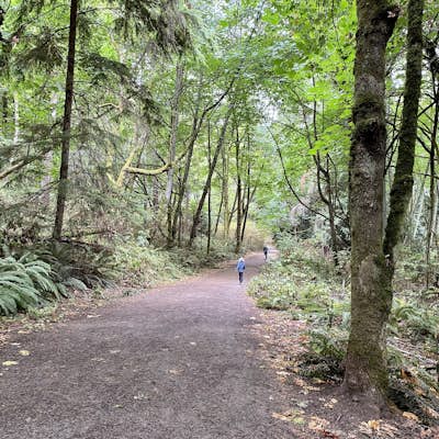 Loop Trail - Discovery Park