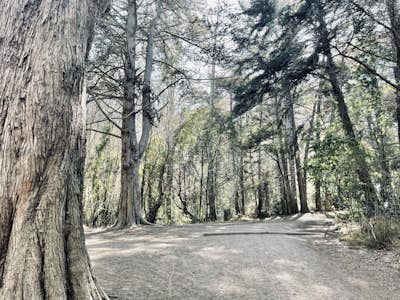 Presidio Ecology Trail