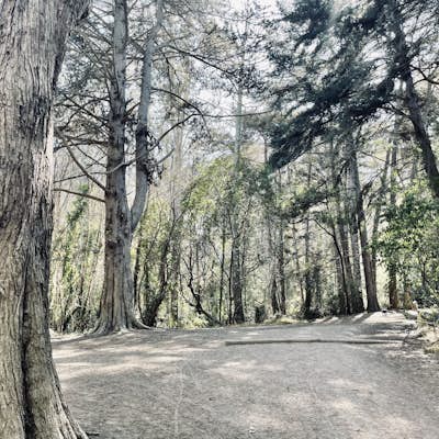 Presidio Ecology Trail