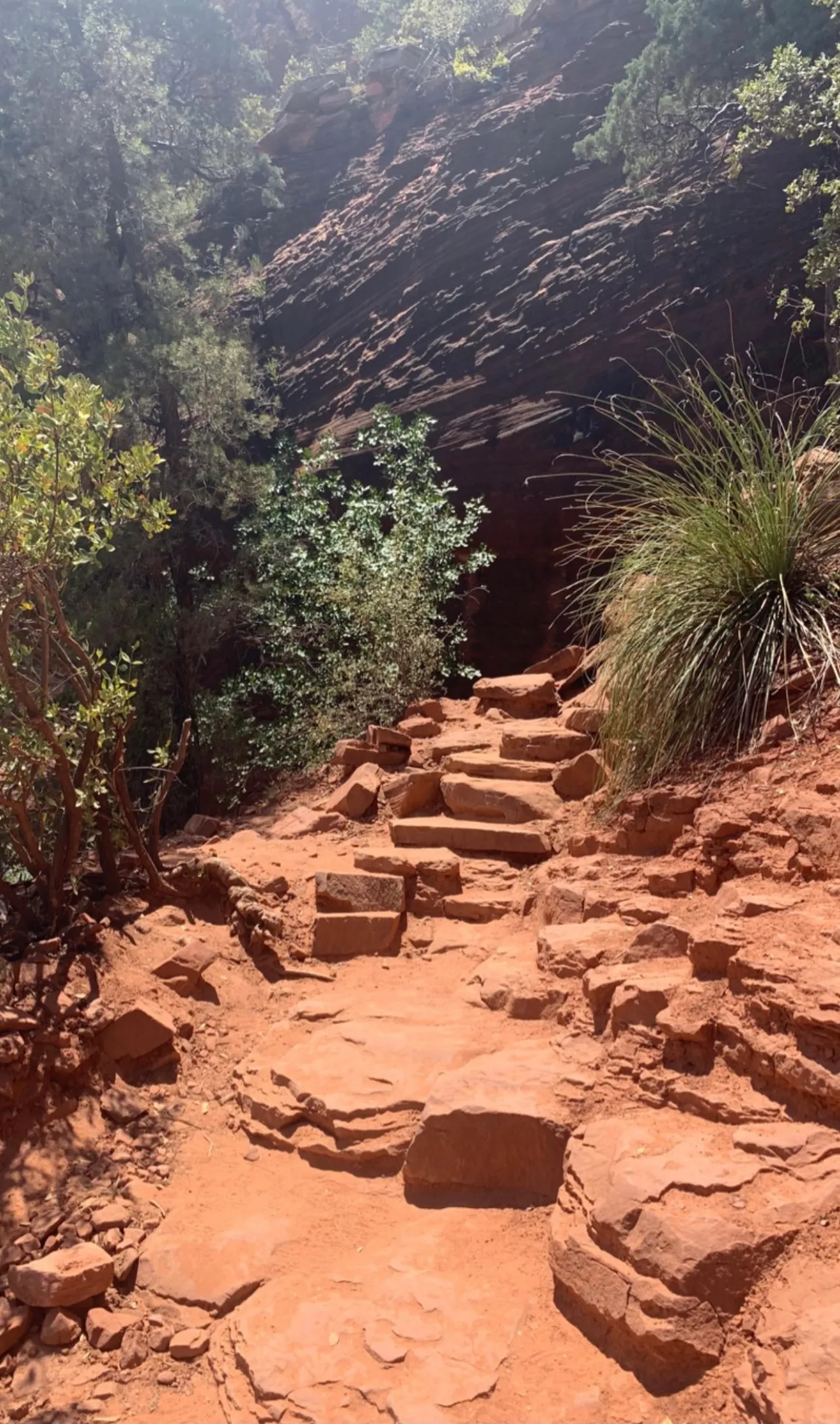 Devil's Bridge Trail