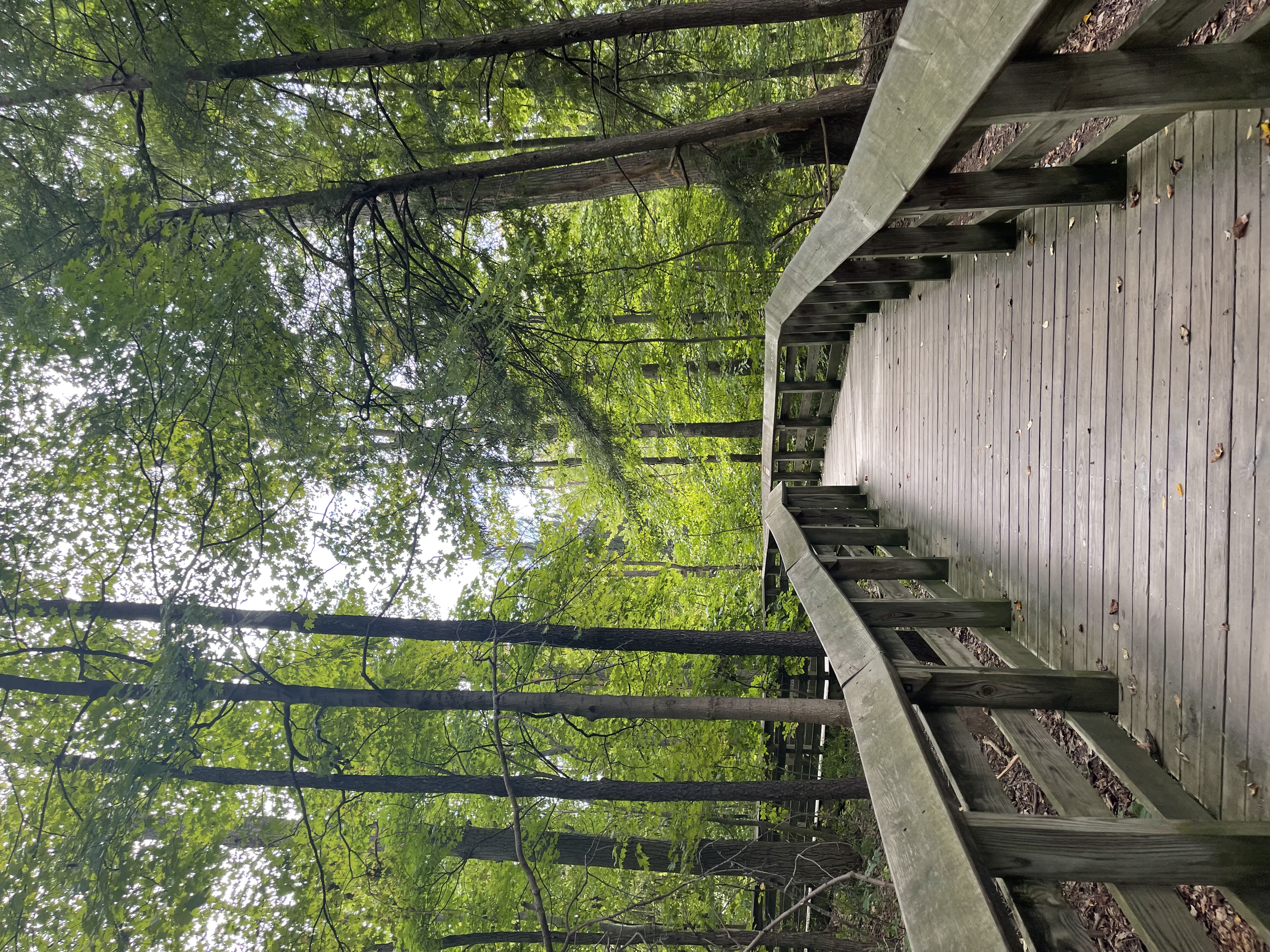 Hike up Brandywine Creek to Brandywine Falls