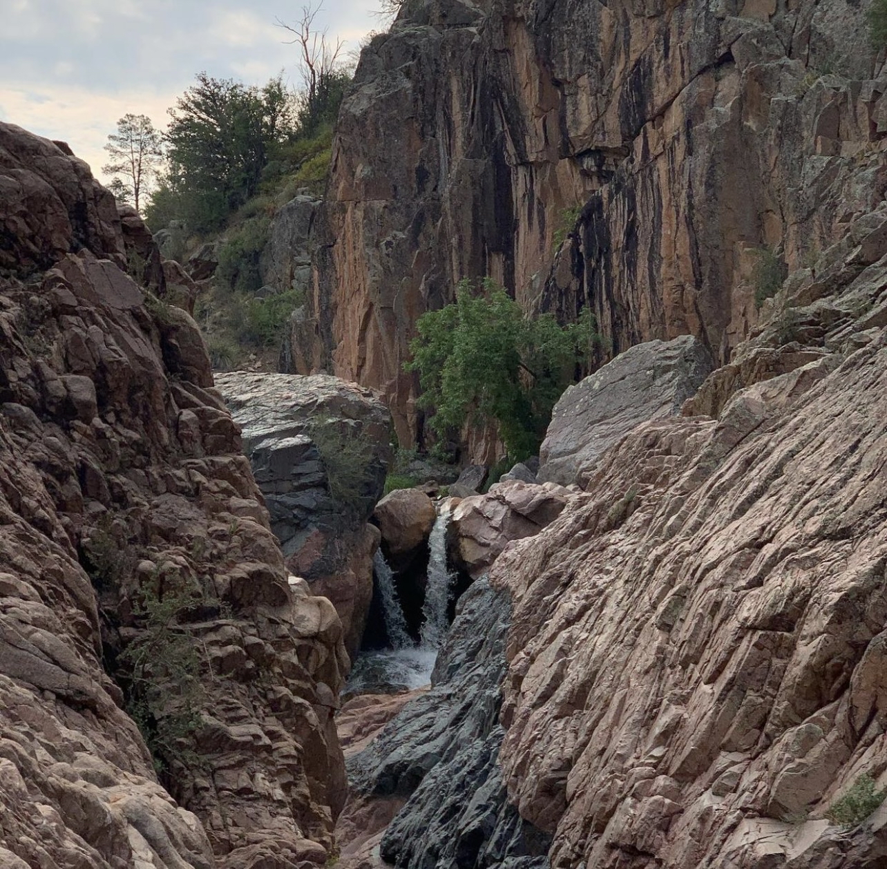Water Wheel & Ellison Creek Cascades