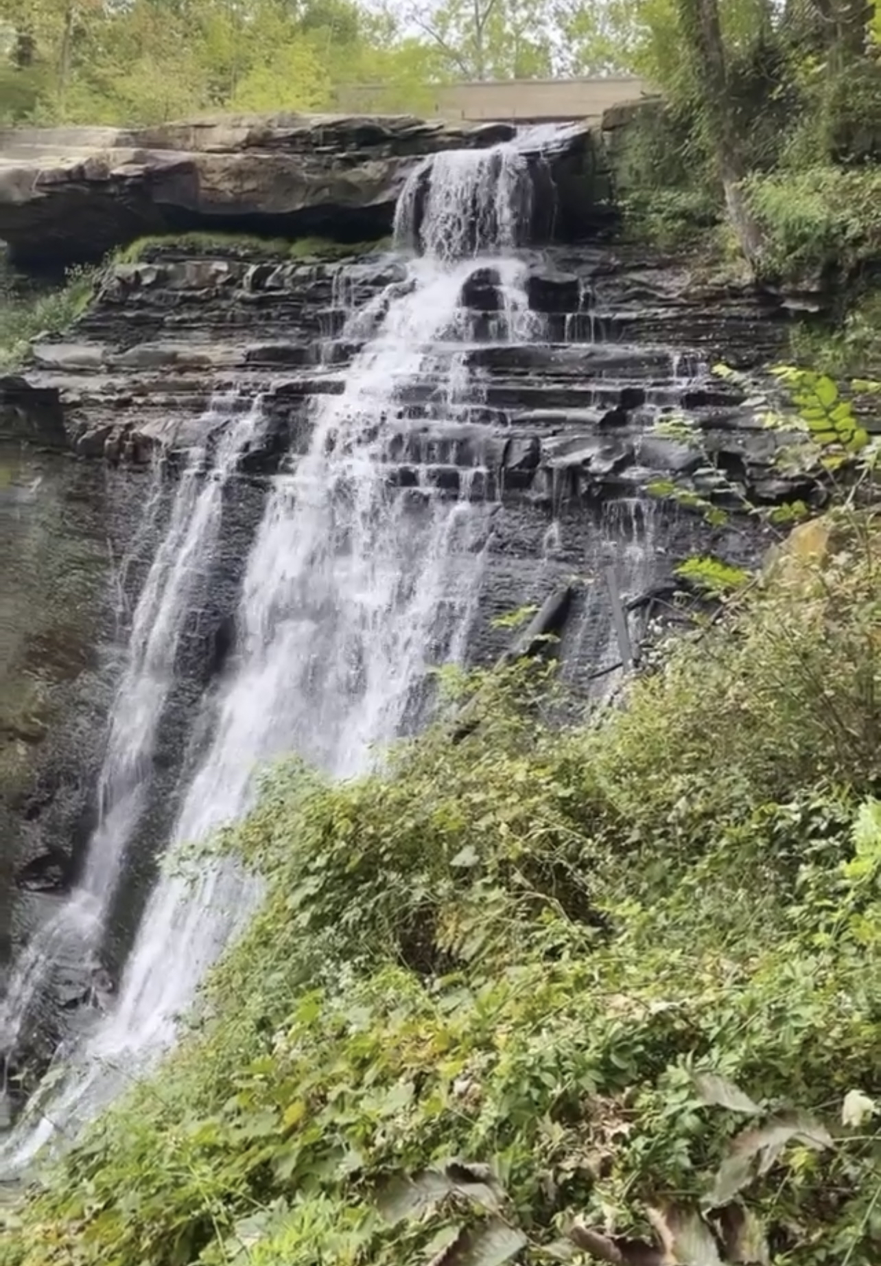 Brandywine Falls